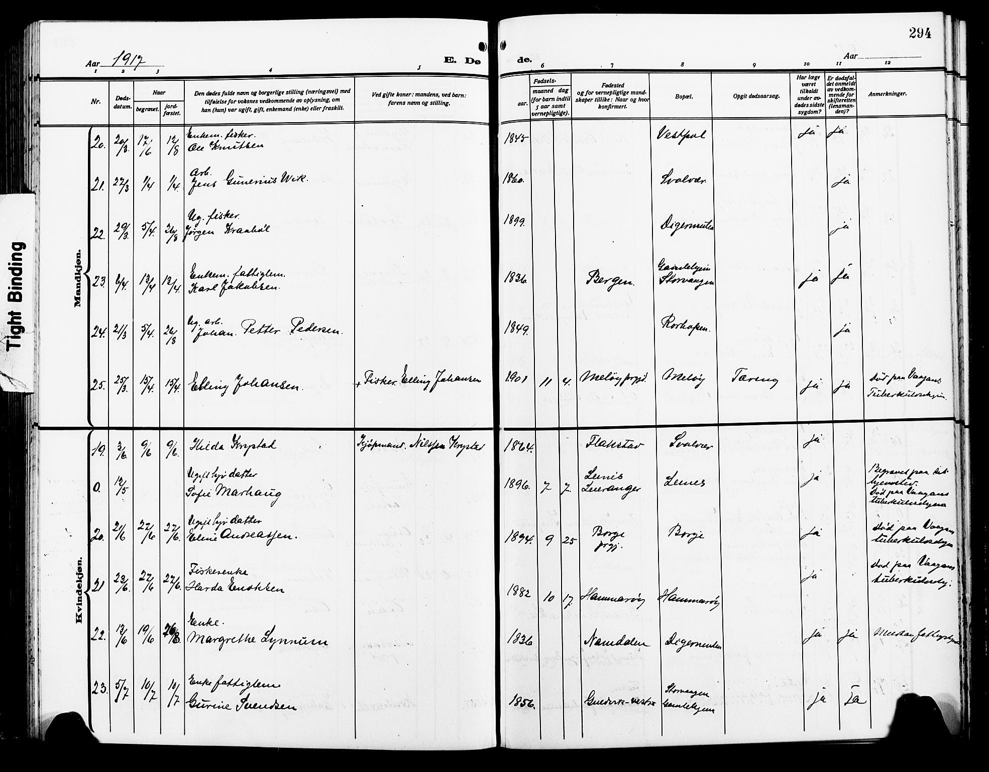 Ministerialprotokoller, klokkerbøker og fødselsregistre - Nordland, AV/SAT-A-1459/874/L1080: Parish register (copy) no. 874C09, 1915-1925, p. 294