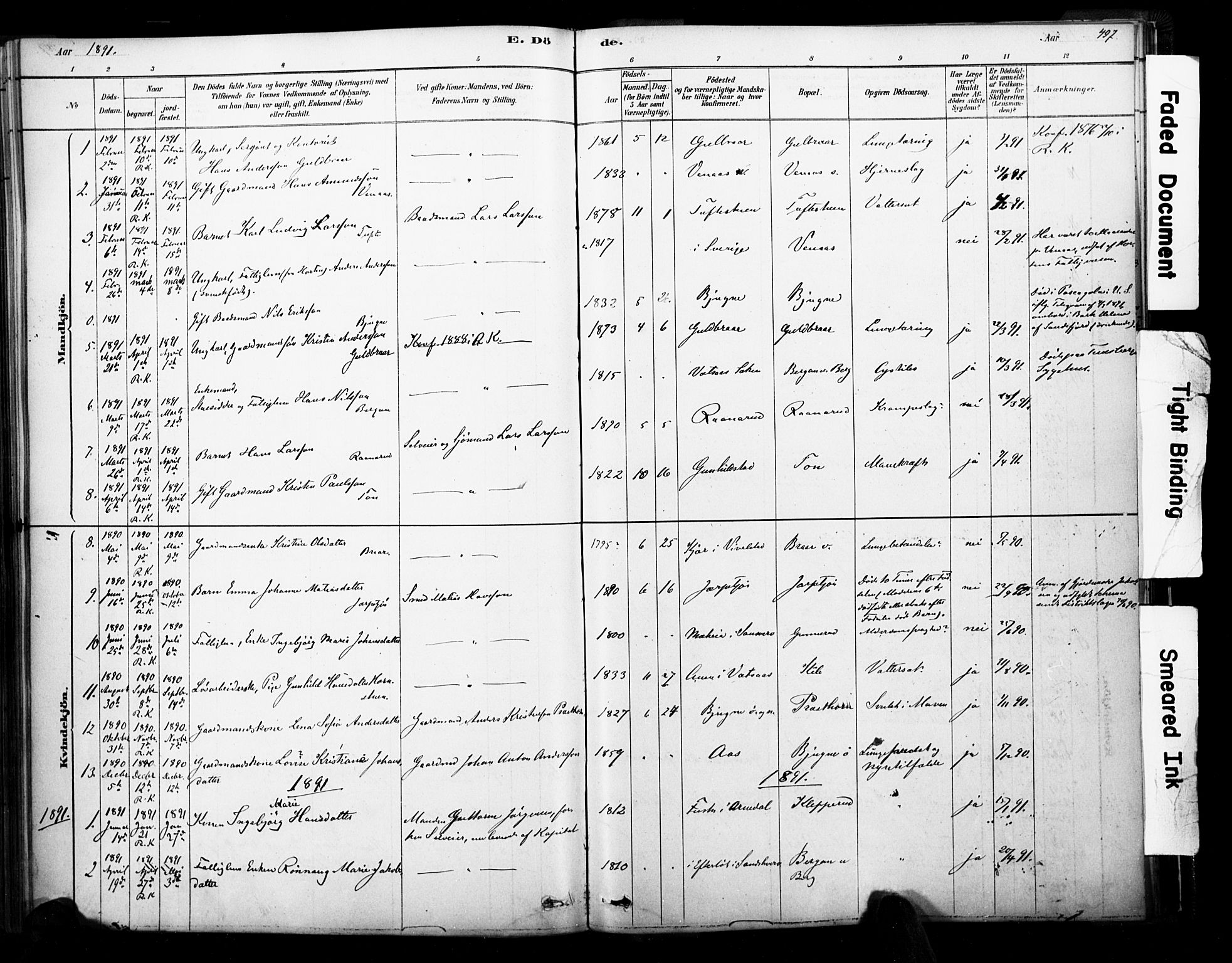 Ramnes kirkebøker, AV/SAKO-A-314/F/Fa/L0007: Parish register (official) no. I 7, 1878-1895, p. 496-497