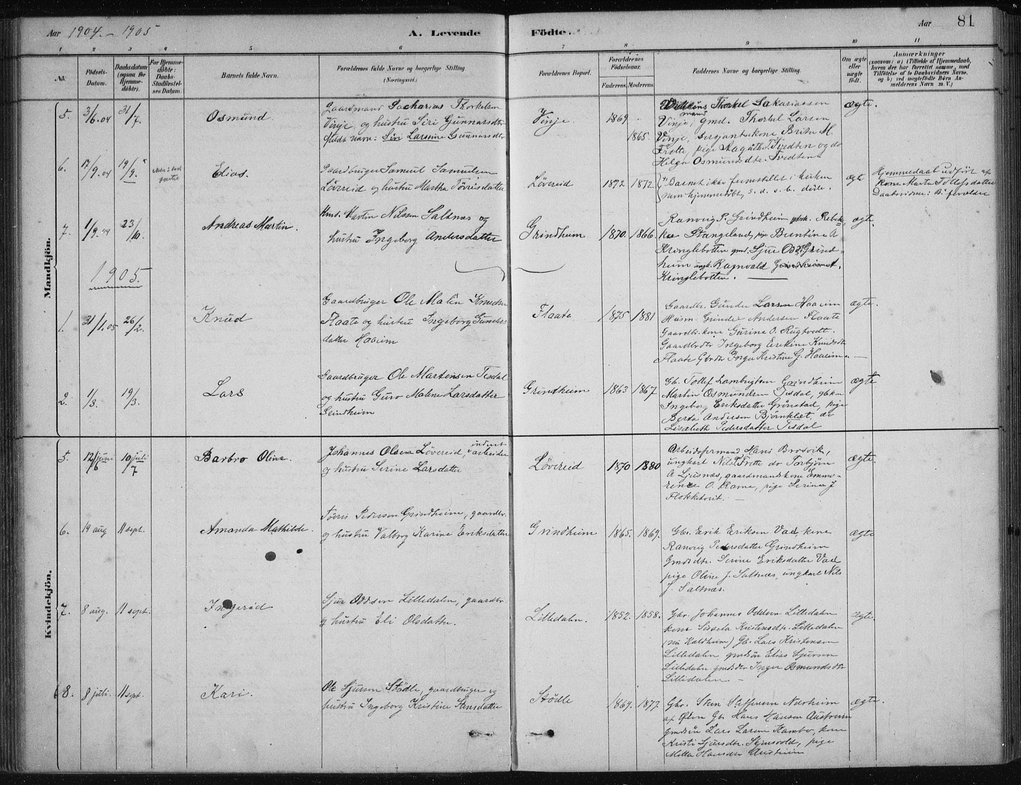 Etne sokneprestembete, SAB/A-75001/H/Haa: Parish register (official) no. D  1, 1879-1919, p. 81