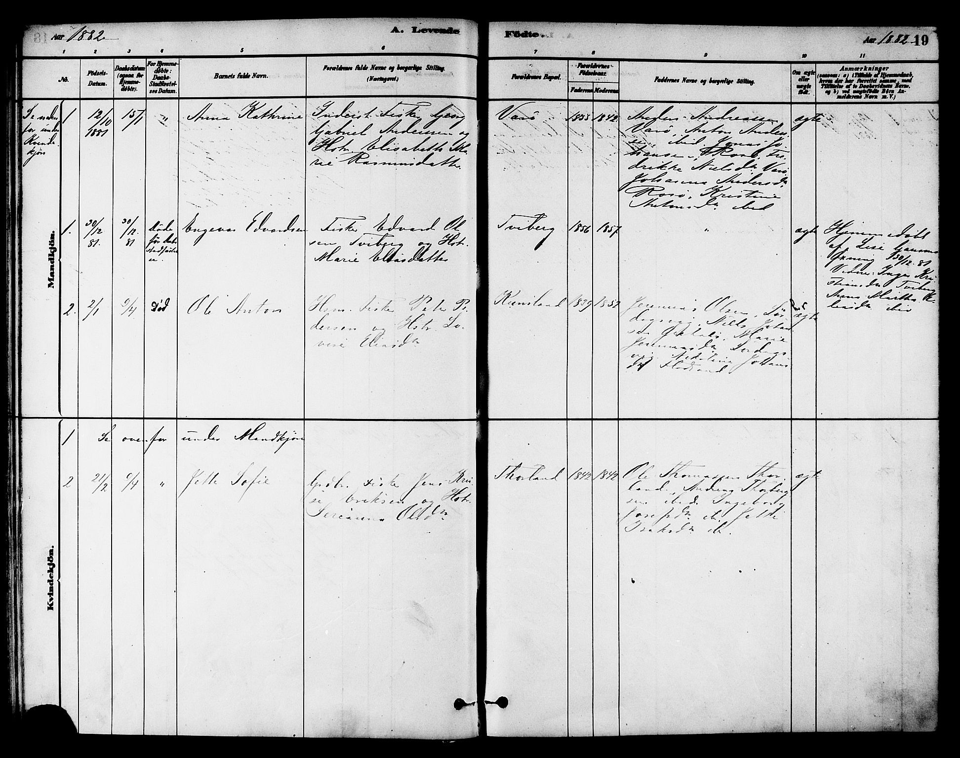 Ministerialprotokoller, klokkerbøker og fødselsregistre - Nord-Trøndelag, SAT/A-1458/784/L0672: Parish register (official) no. 784A07, 1880-1887, p. 19