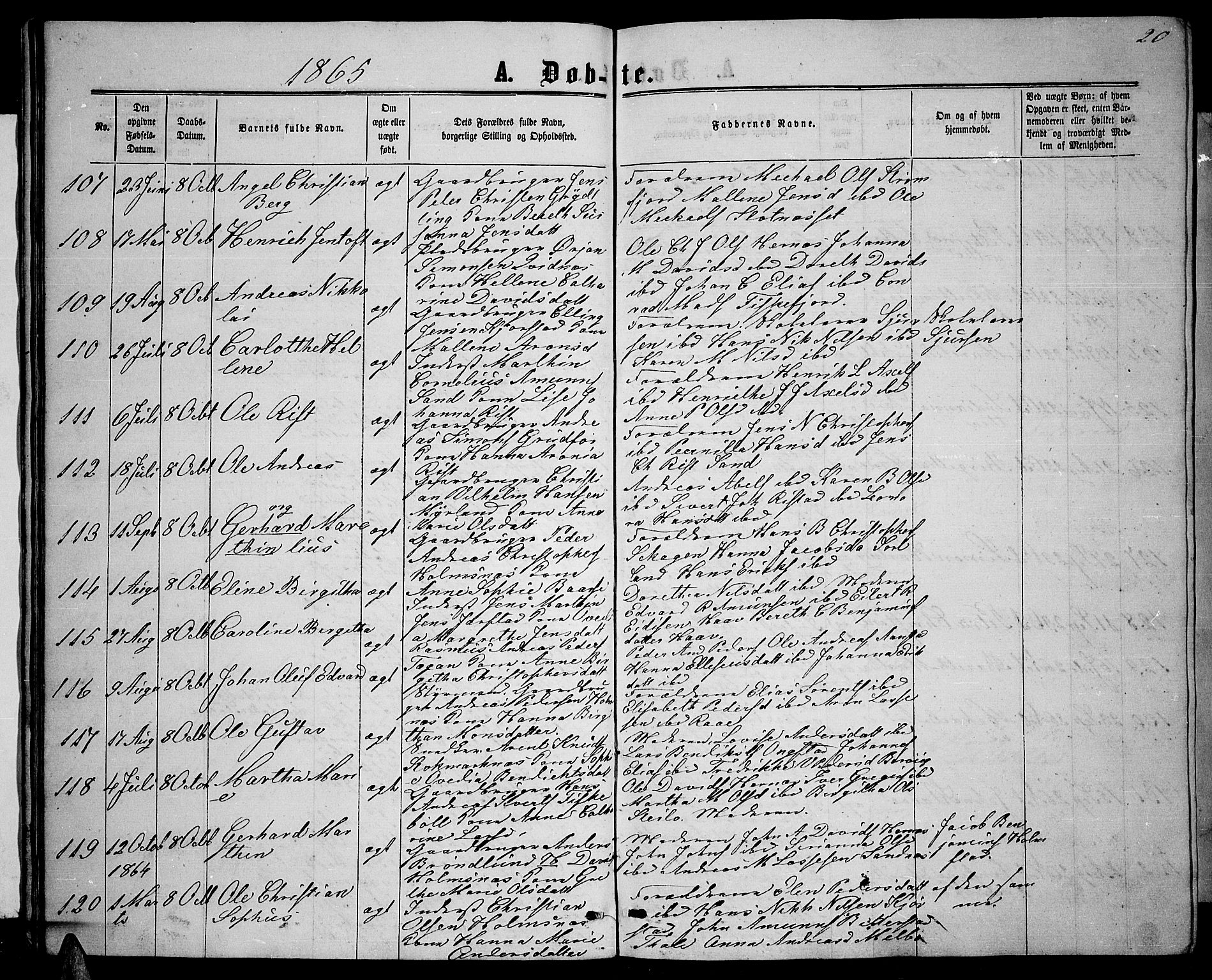 Ministerialprotokoller, klokkerbøker og fødselsregistre - Nordland, AV/SAT-A-1459/888/L1266: Parish register (copy) no. 888C04, 1864-1877, p. 20