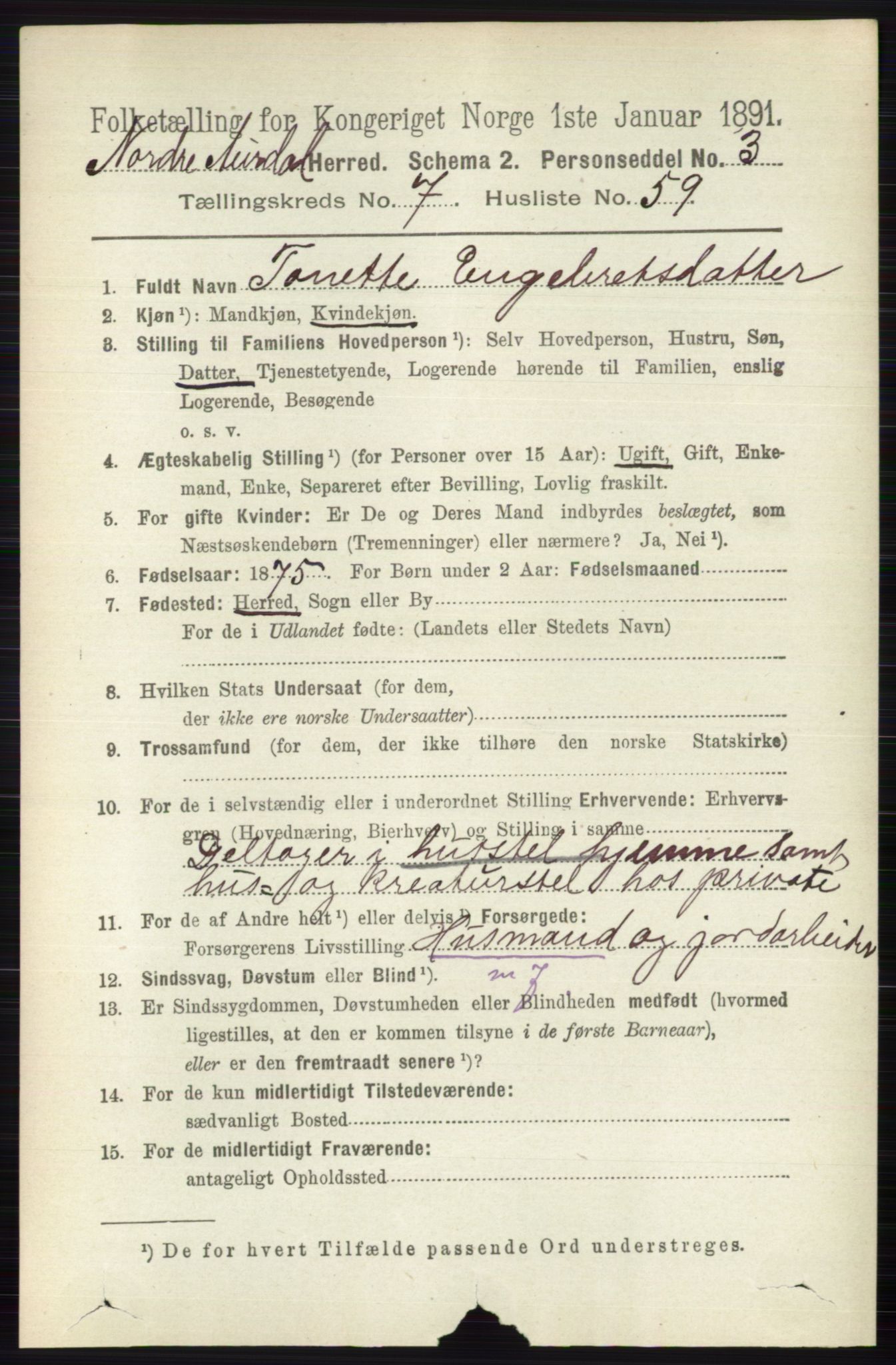 RA, 1891 census for 0542 Nord-Aurdal, 1891, p. 2696