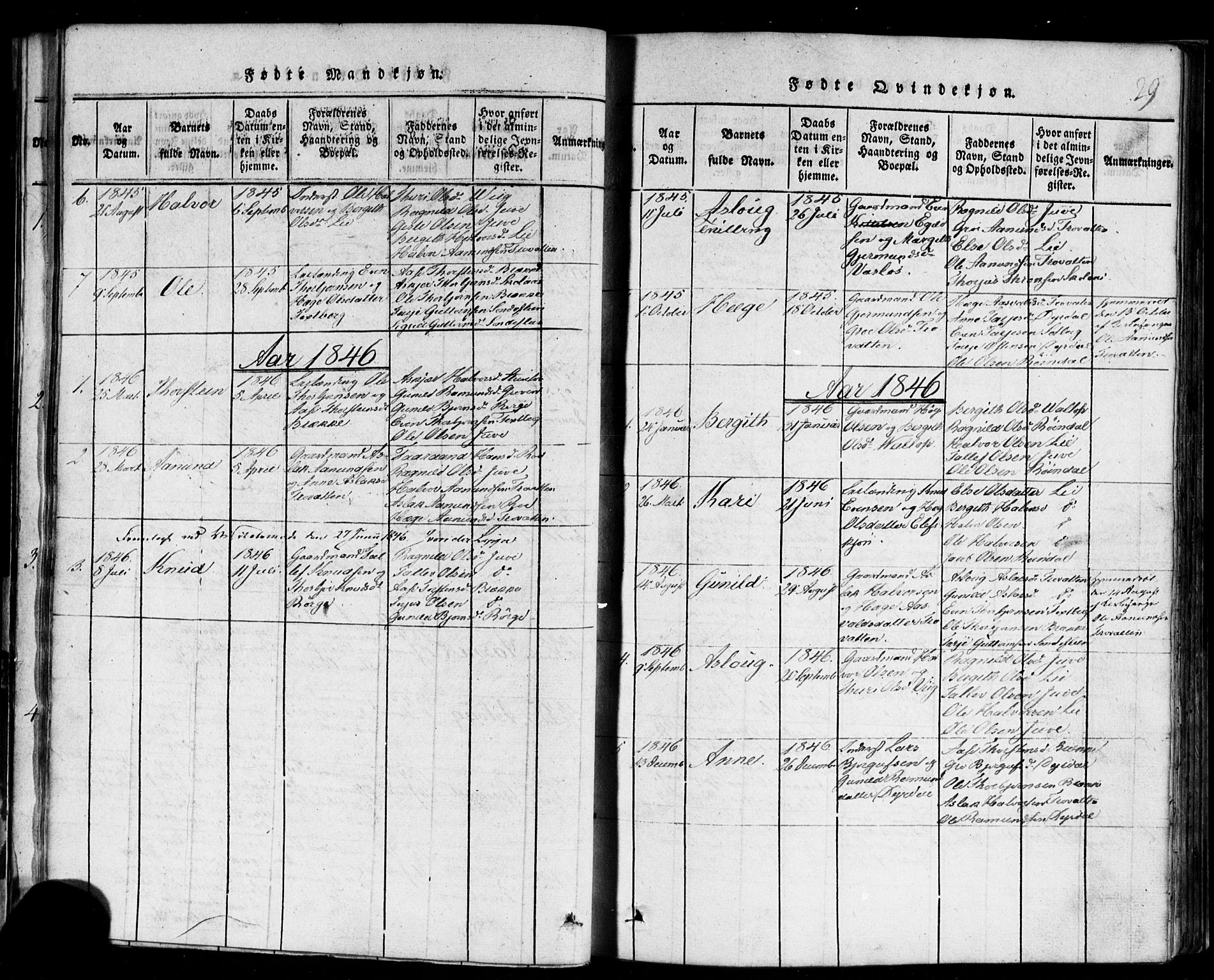 Rauland kirkebøker, SAKO/A-292/F/Fa/L0002: Parish register (official) no. 2, 1815-1860, p. 29