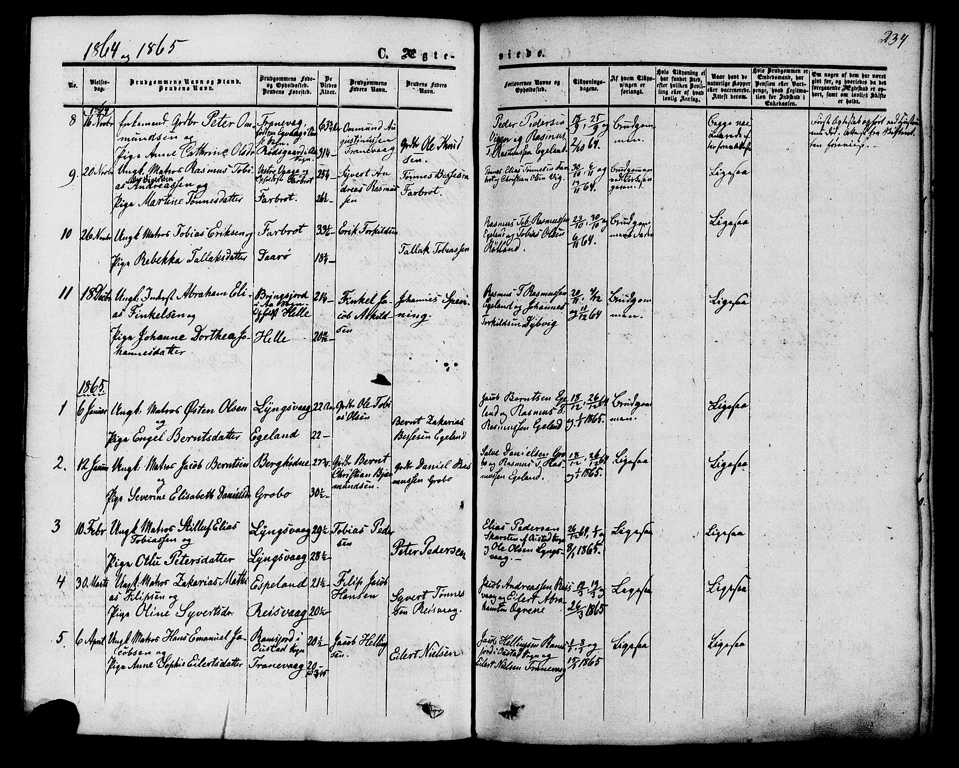 Herad sokneprestkontor, SAK/1111-0018/F/Fa/Fab/L0004: Parish register (official) no. A 4, 1853-1885, p. 234
