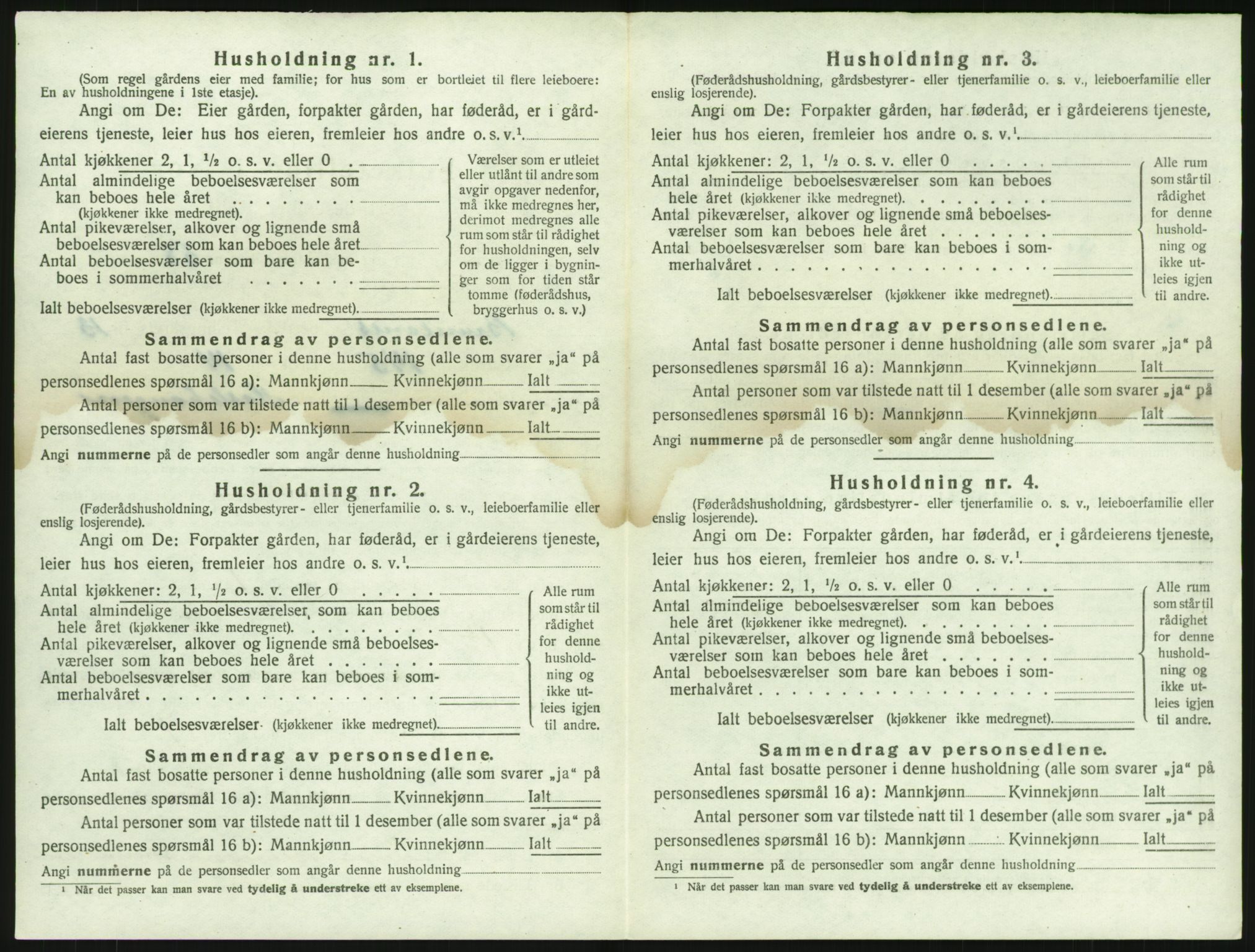 SAKO, 1920 census for Brunlanes, 1920, p. 1866