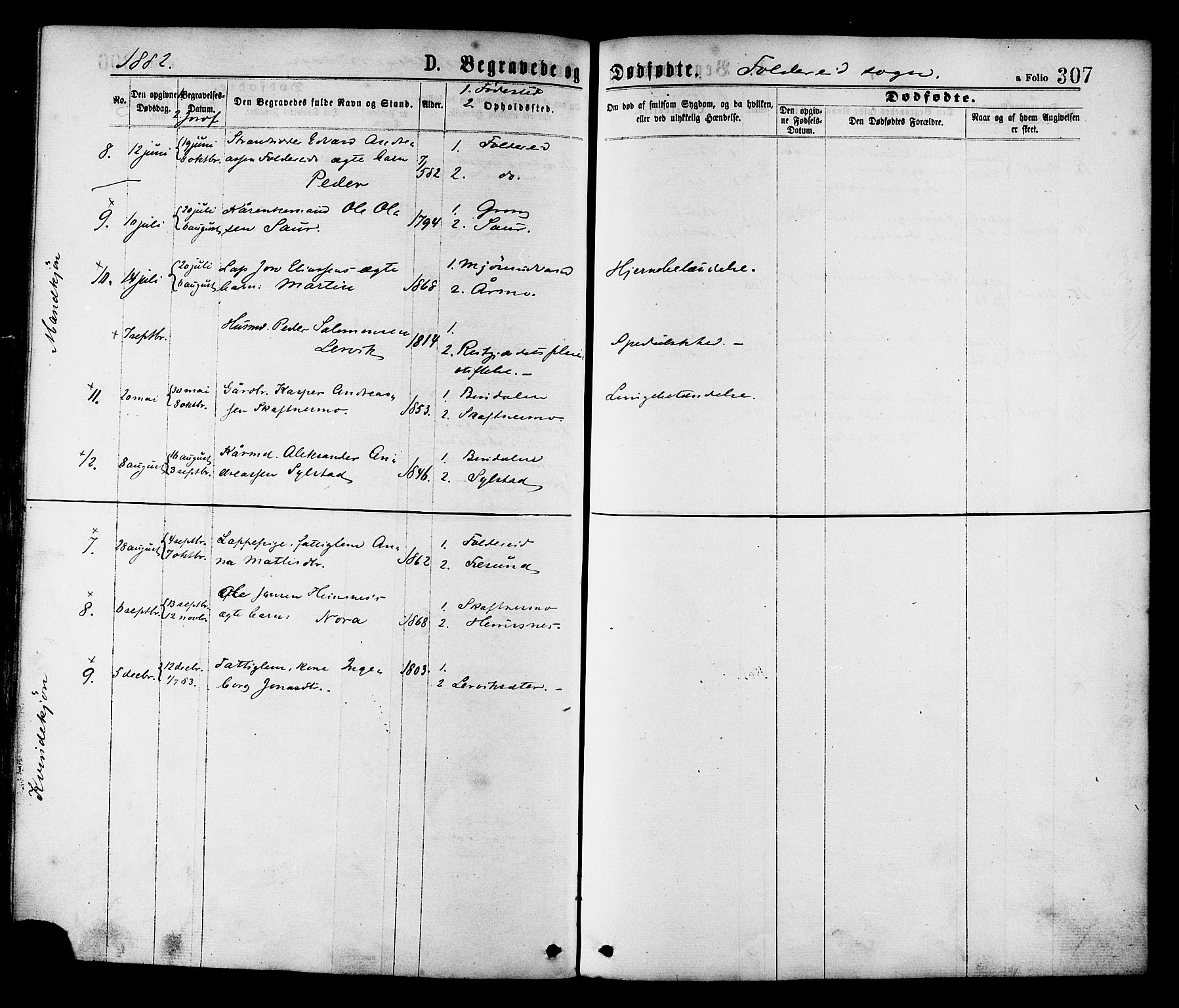 Ministerialprotokoller, klokkerbøker og fødselsregistre - Nord-Trøndelag, SAT/A-1458/780/L0642: Parish register (official) no. 780A07 /2, 1878-1885, p. 307