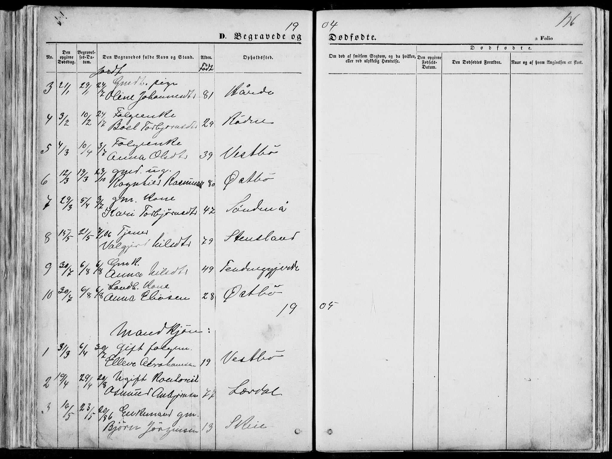 Vikedal sokneprestkontor, AV/SAST-A-101840/01/V: Parish register (copy) no. B 10, 1864-1926, p. 136