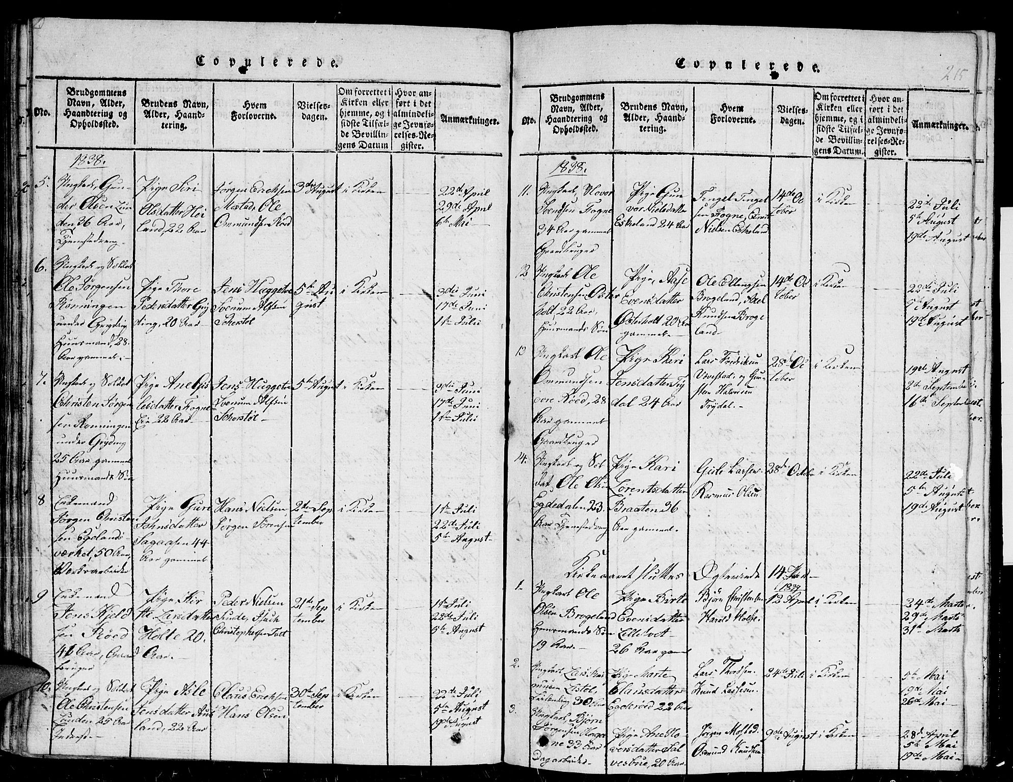 Gjerstad sokneprestkontor, SAK/1111-0014/F/Fb/Fba/L0002: Parish register (copy) no. B 2, 1816-1845, p. 215