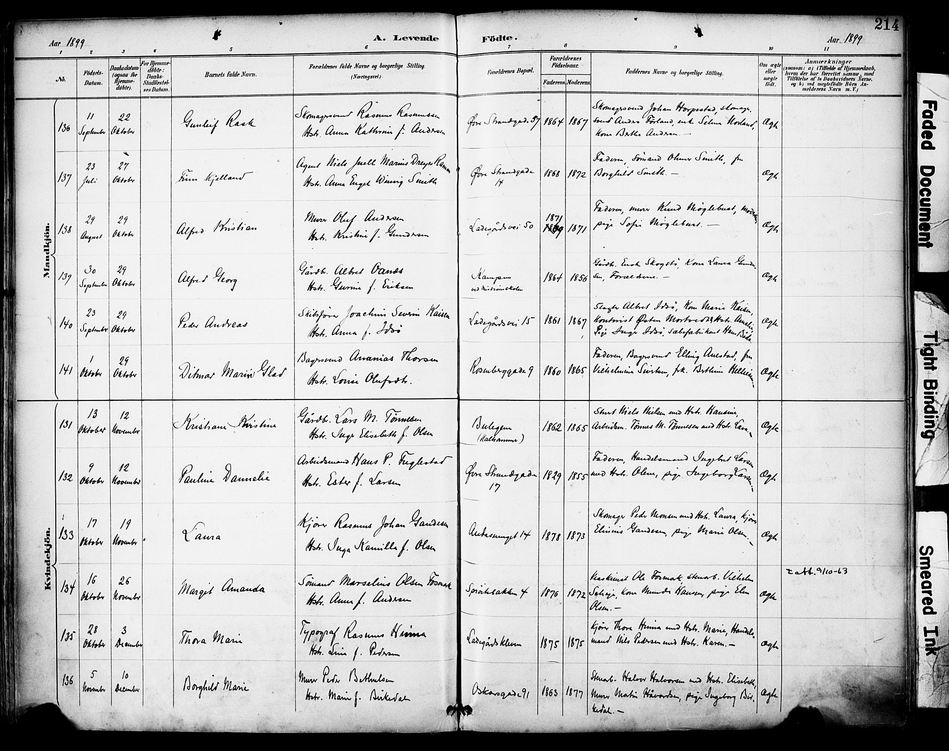 Domkirken sokneprestkontor, SAST/A-101812/001/30/30BA/L0030: Parish register (official) no. A 29, 1889-1902, p. 214