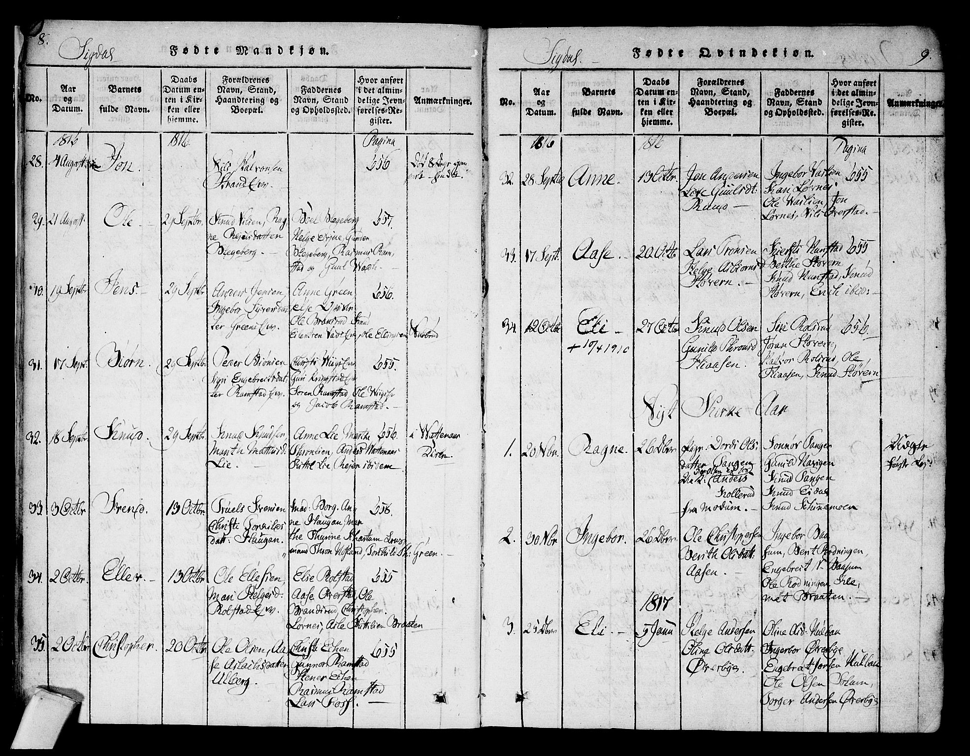 Sigdal kirkebøker, SAKO/A-245/F/Fa/L0005: Parish register (official) no. I 5 /1, 1815-1829, p. 8-9