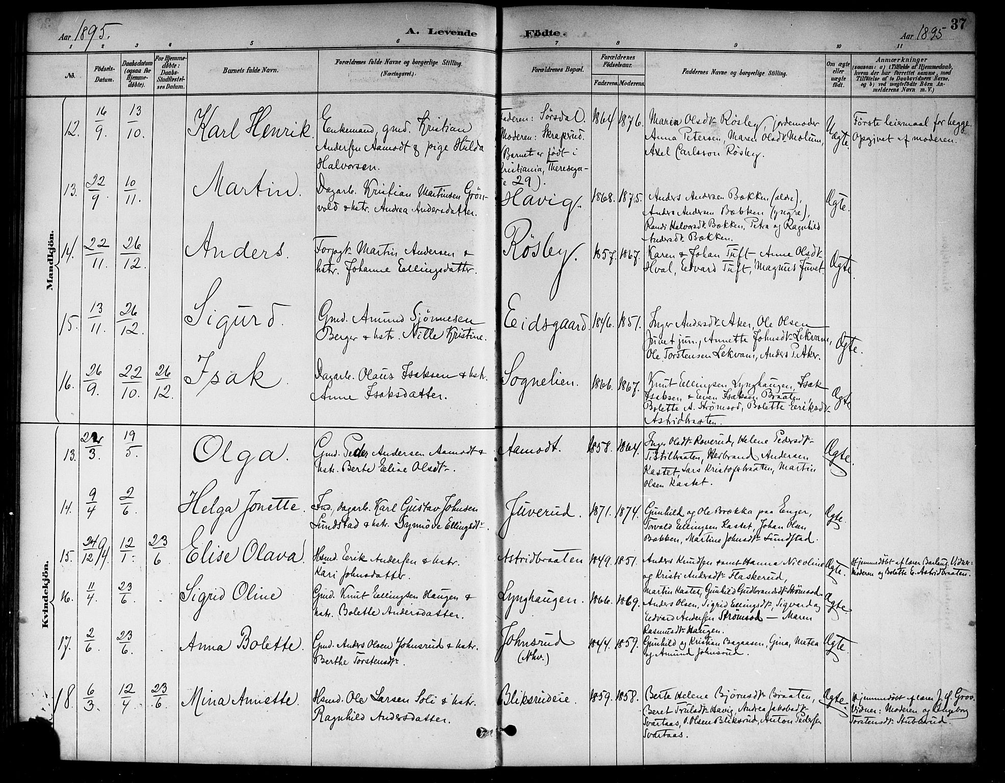 Lunder kirkebøker, AV/SAKO-A-629/G/Ga/L0004: Parish register (copy) no. I 4, 1889-1917, p. 37