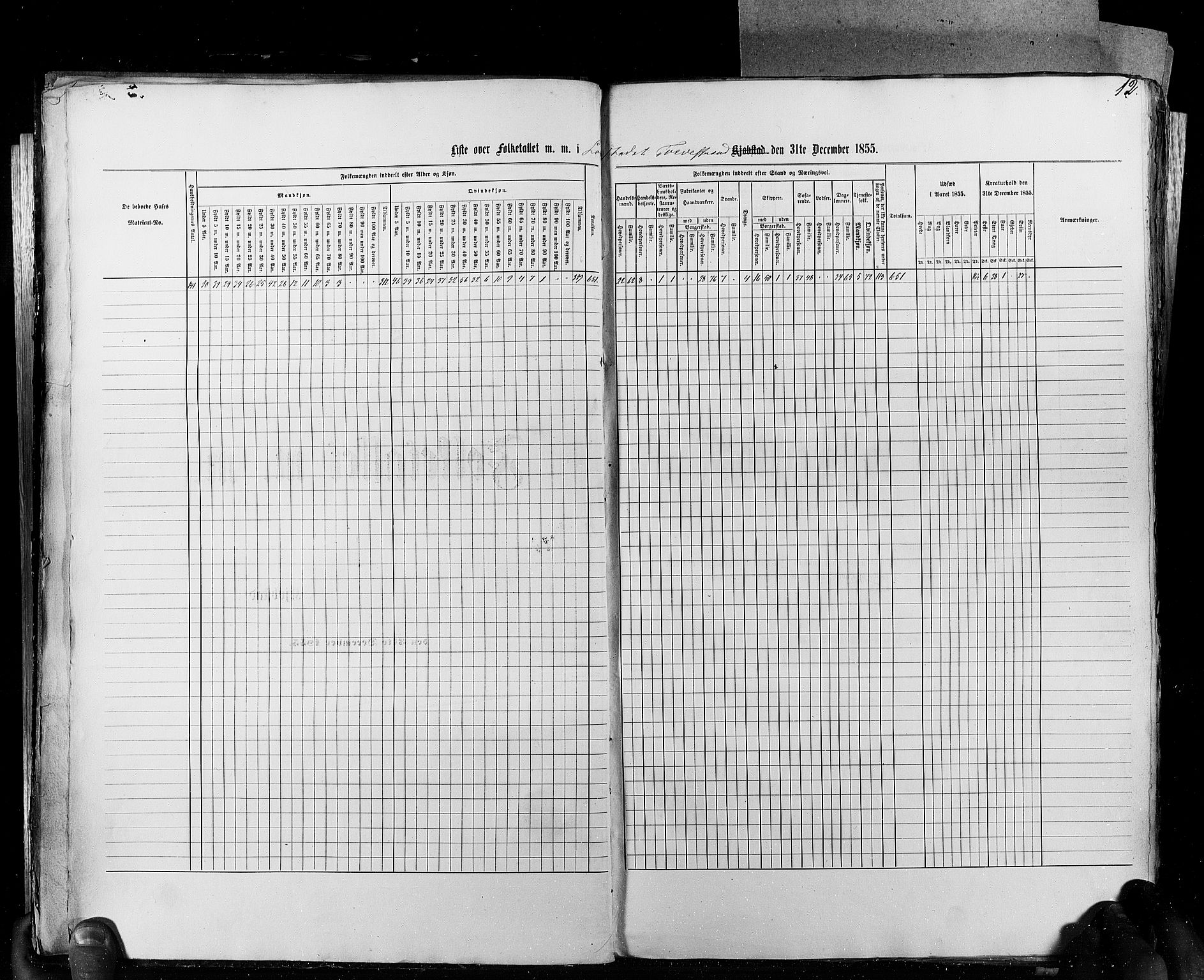 RA, Census 1855, vol. 8: Risør-Vadsø, 1855, p. 12