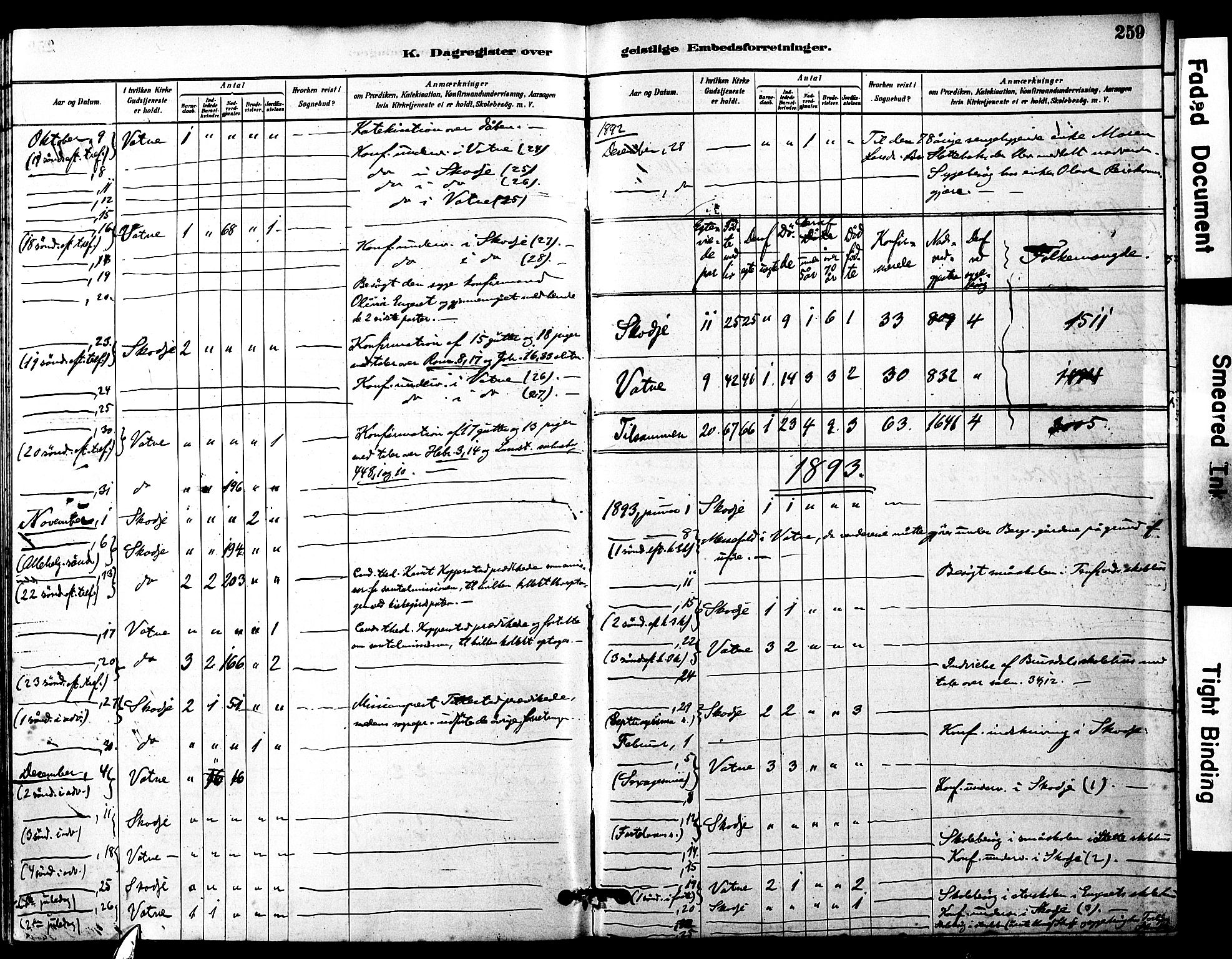 Ministerialprotokoller, klokkerbøker og fødselsregistre - Møre og Romsdal, AV/SAT-A-1454/525/L0374: Parish register (official) no. 525A04, 1880-1899, p. 259