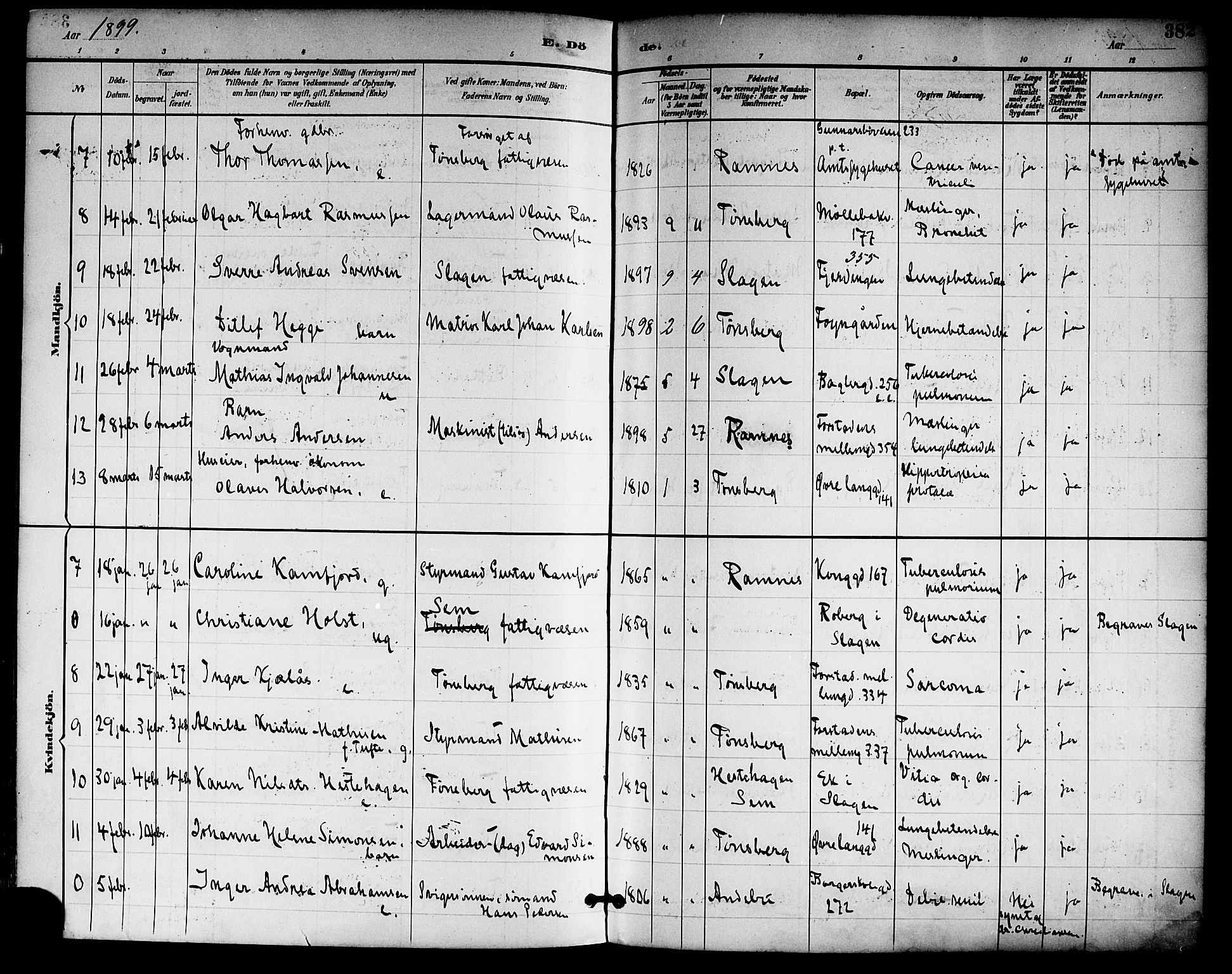 Tønsberg kirkebøker, AV/SAKO-A-330/F/Fa/L0012: Parish register (official) no. I 12, 1891-1899, p. 382