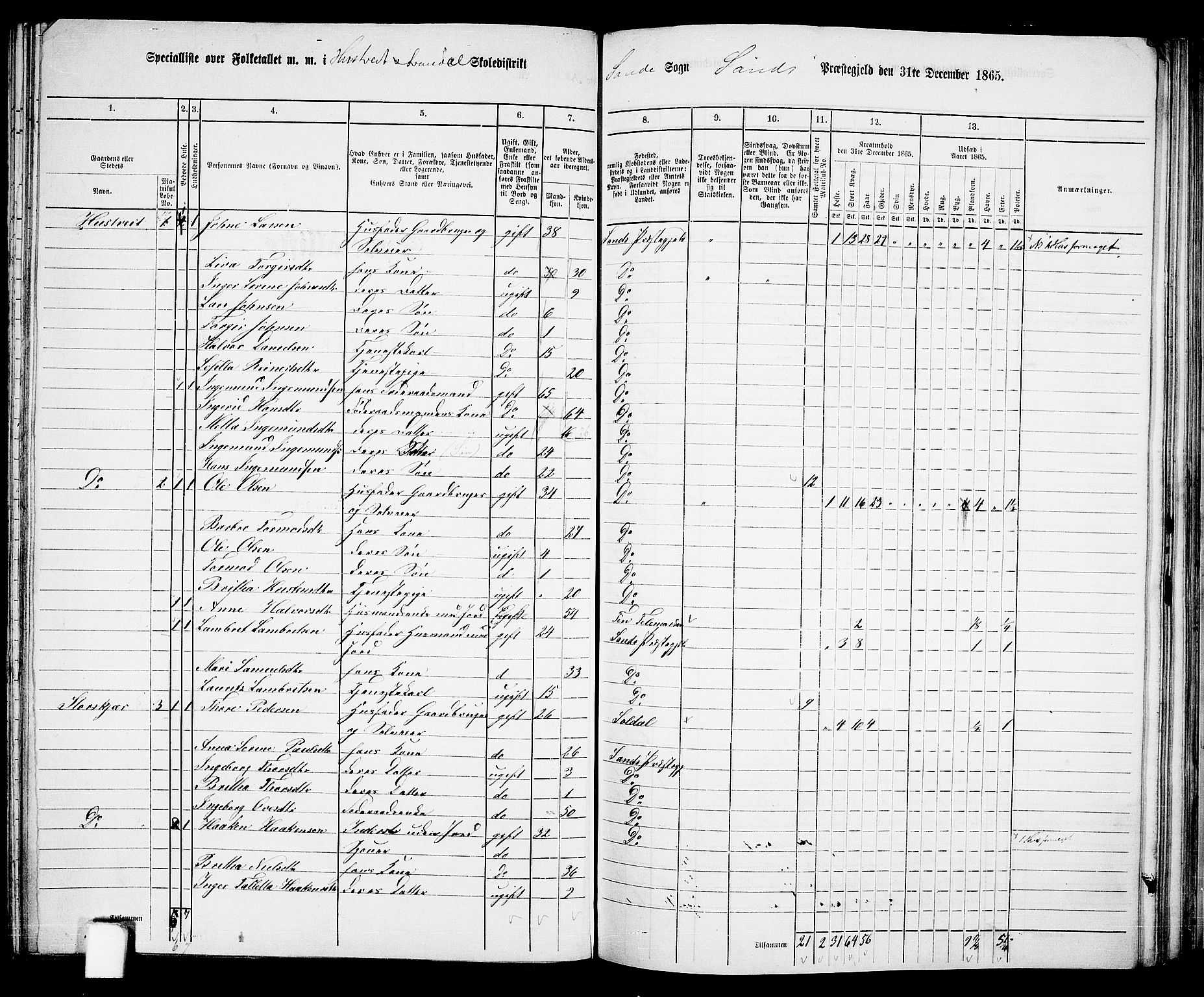 RA, 1865 census for Sand, 1865, p. 81