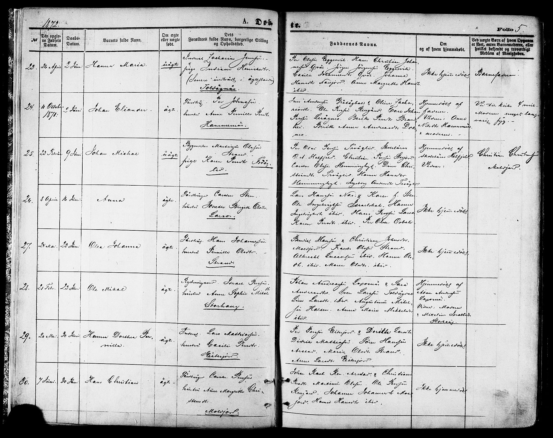 Ministerialprotokoller, klokkerbøker og fødselsregistre - Nordland, SAT/A-1459/846/L0645: Parish register (official) no. 846A03, 1872-1886, p. 5