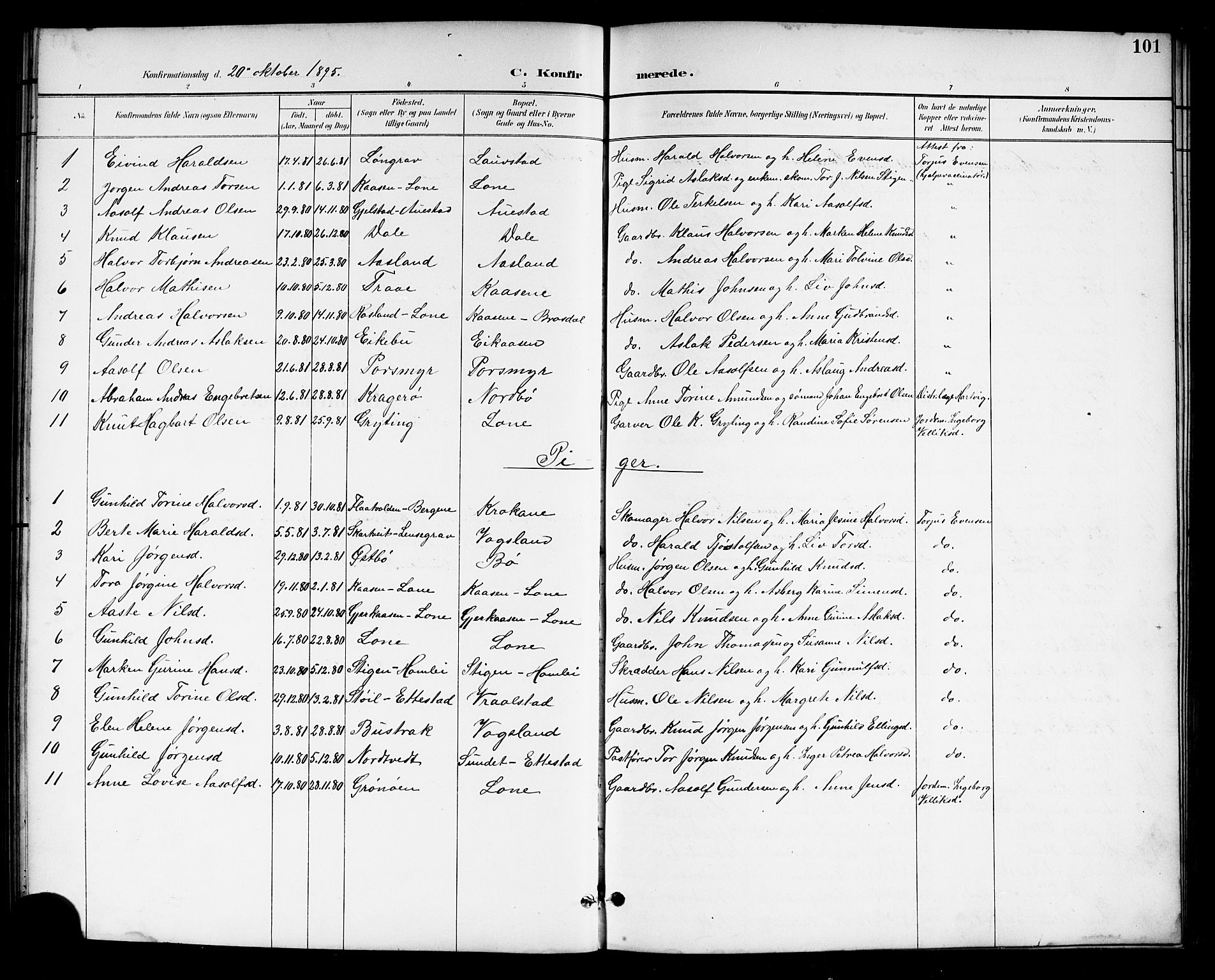 Drangedal kirkebøker, SAKO/A-258/G/Gb/L0002: Parish register (copy) no. II 2, 1895-1918, p. 101