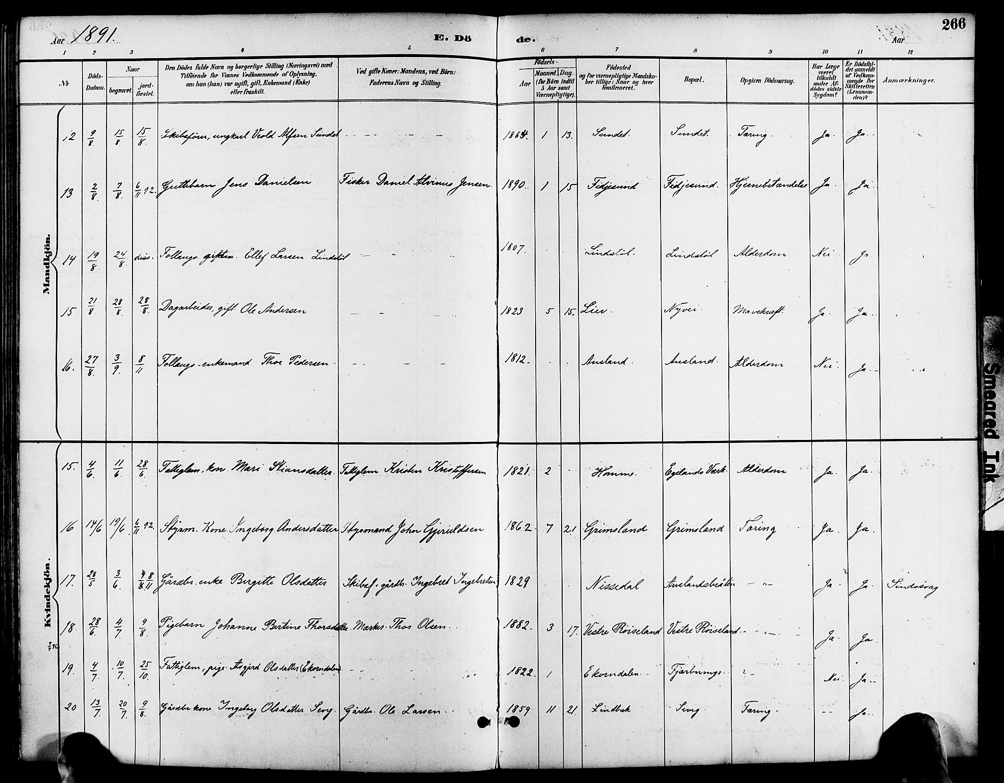 Søndeled sokneprestkontor, AV/SAK-1111-0038/F/Fa/L0005: Parish register (official) no. A 5, 1889-1899, p. 266