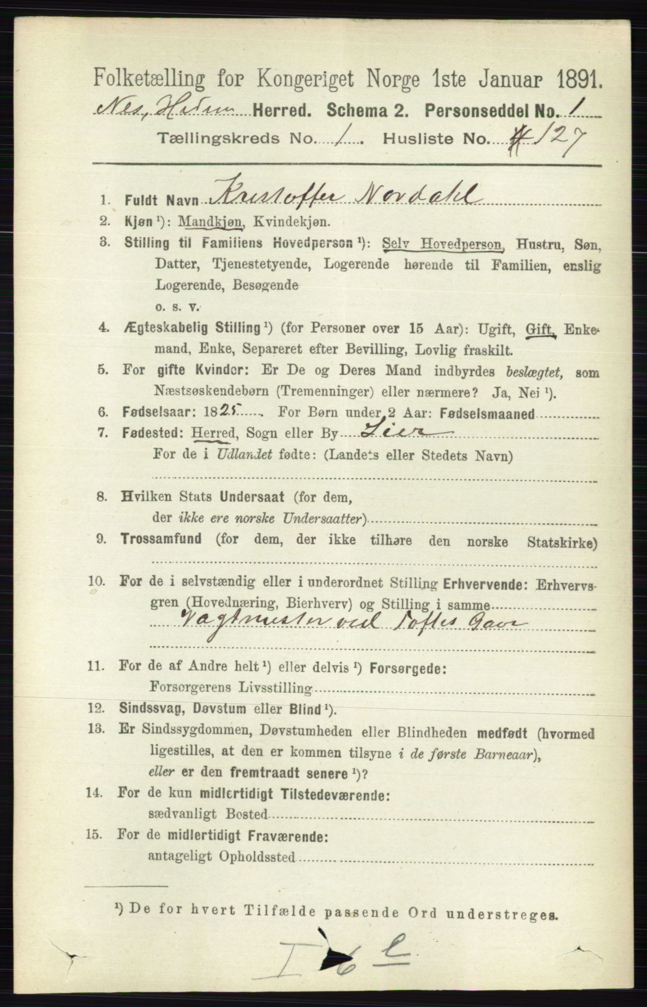 RA, 1891 census for 0411 Nes, 1891, p. 998