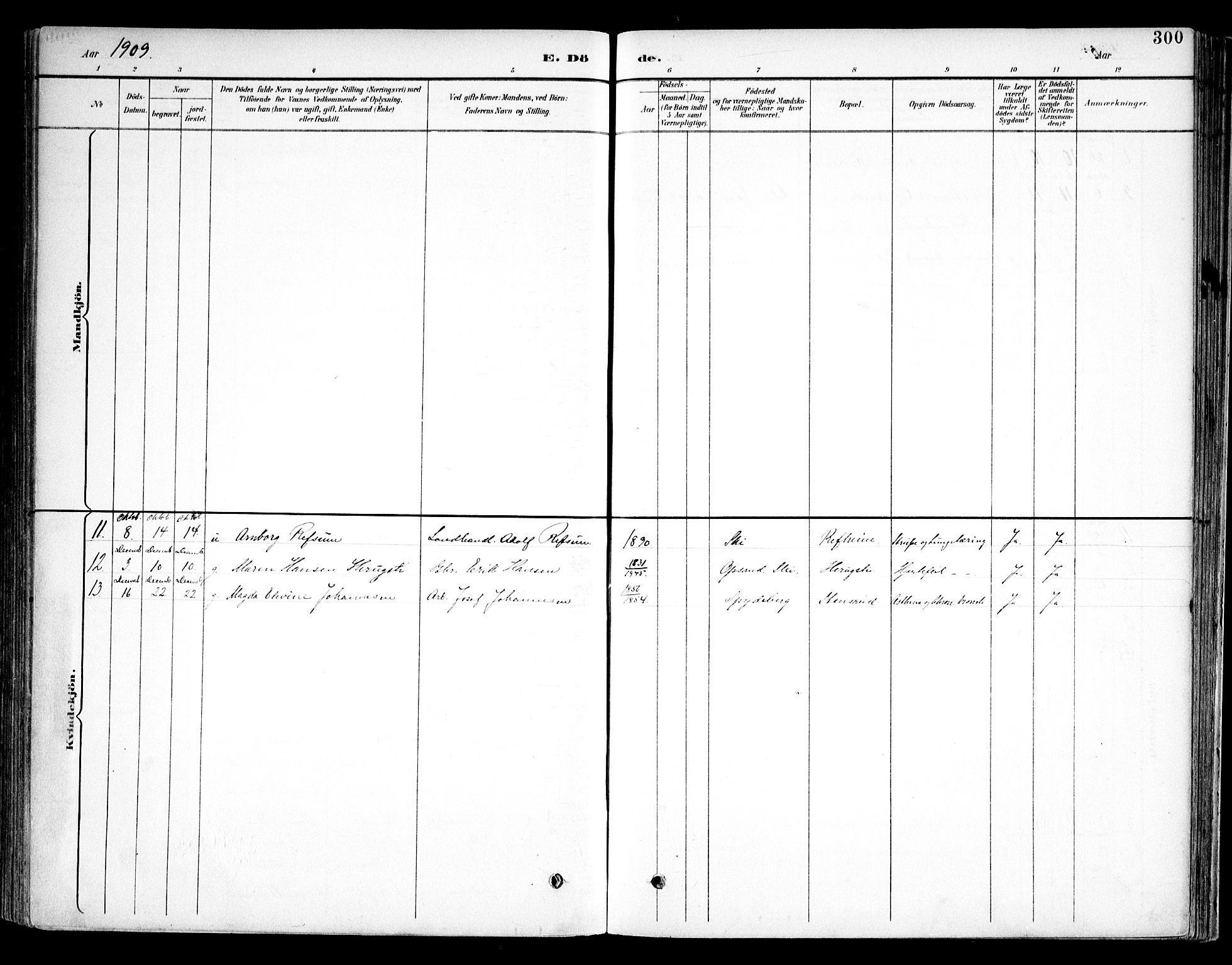 Kråkstad prestekontor Kirkebøker, AV/SAO-A-10125a/F/Fb/L0002: Parish register (official) no. II 2, 1893-1917, p. 300