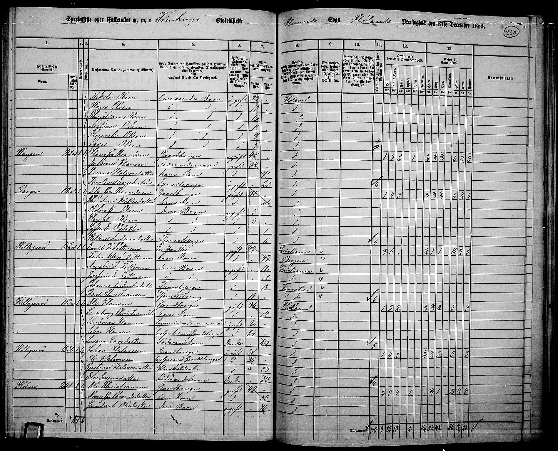 RA, 1865 census for Høland, 1865, p. 211