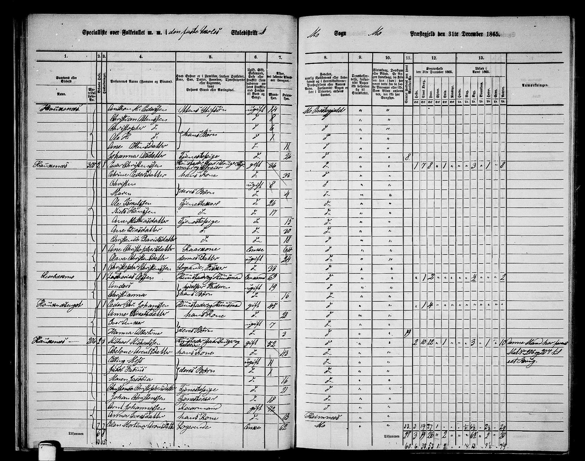 RA, 1865 census for Mo, 1865, p. 35