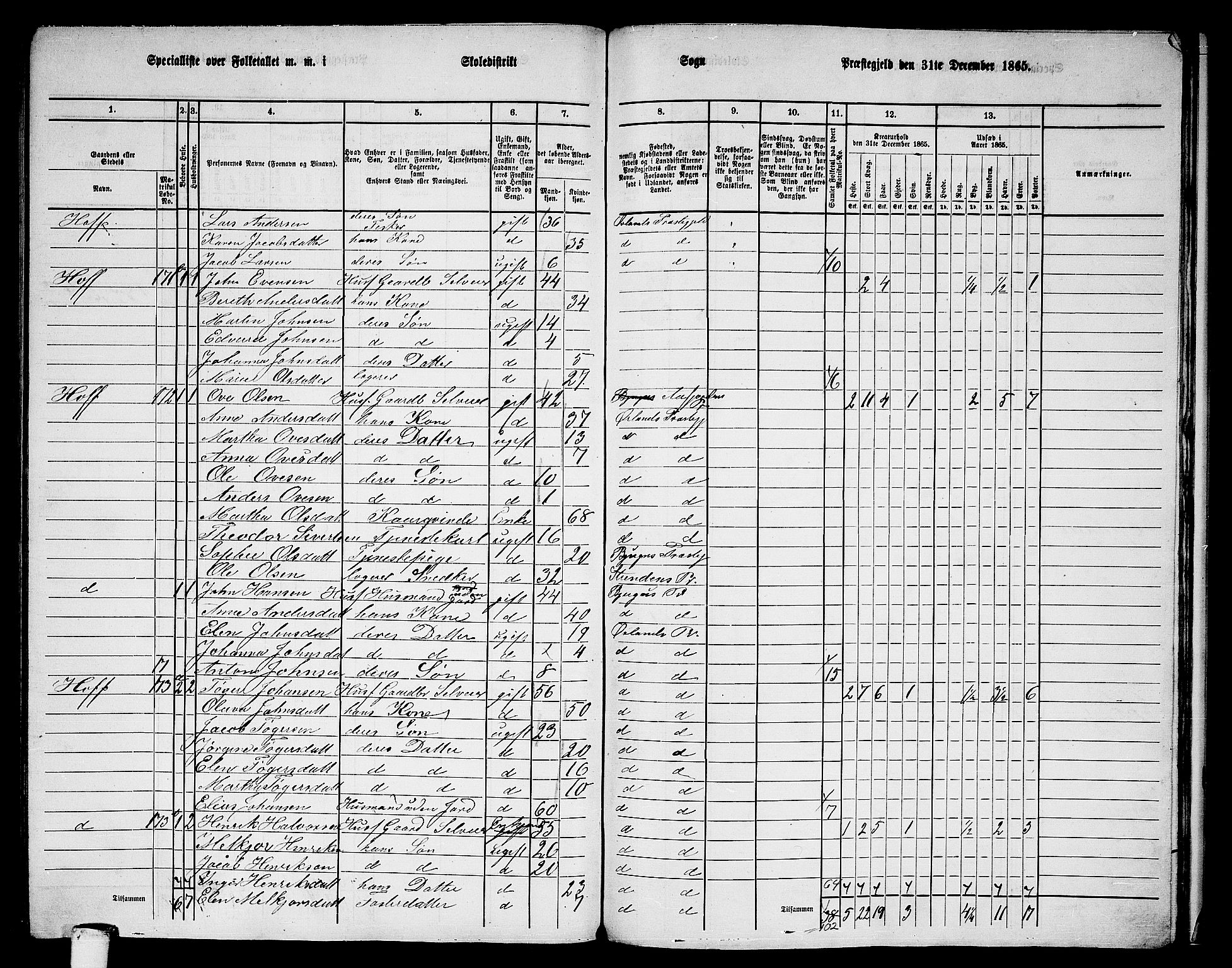 RA, 1865 census for Ørland, 1865, p. 133