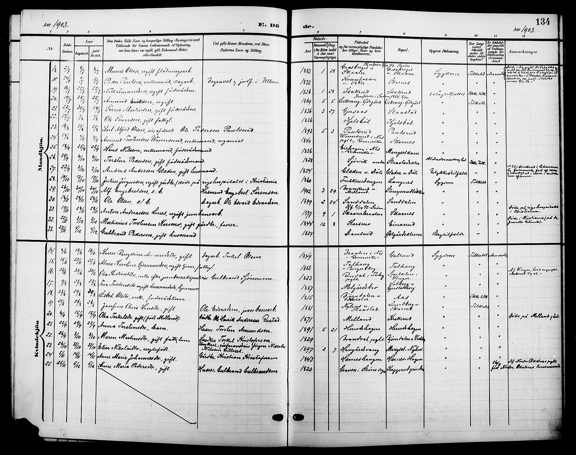 Sør-Odal prestekontor, SAH/PREST-030/H/Ha/Hab/L0005: Parish register (copy) no. 5, 1903-1915, p. 134