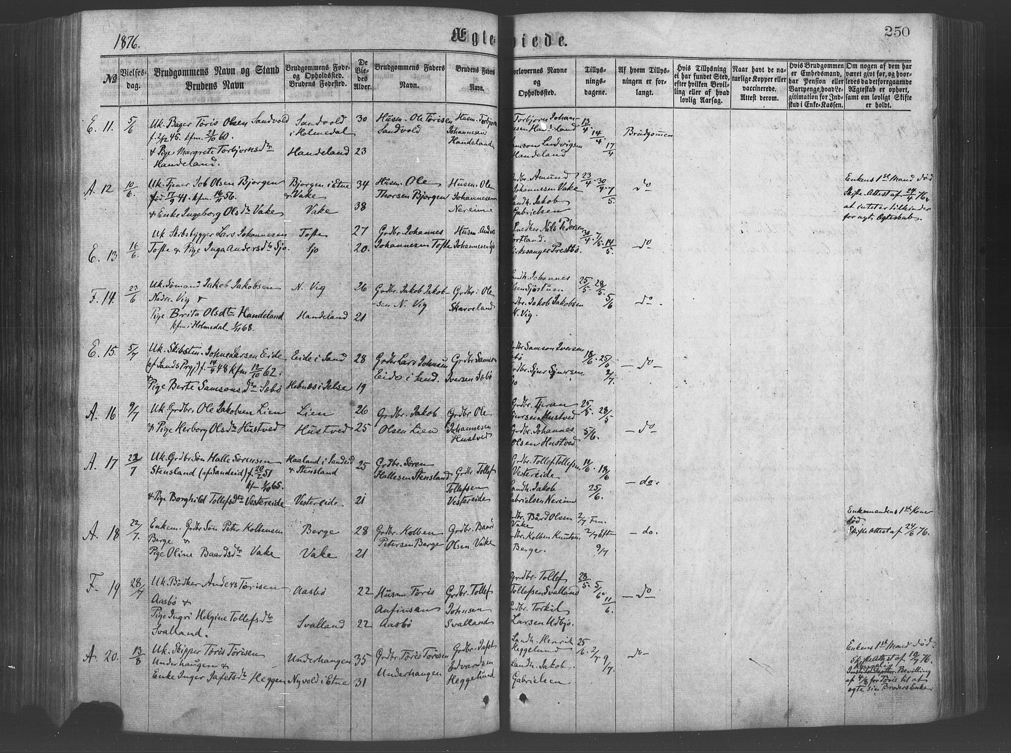 Fjelberg sokneprestembete, SAB/A-75201/H/Haa: Parish register (official) no. A 8, 1866-1879, p. 250