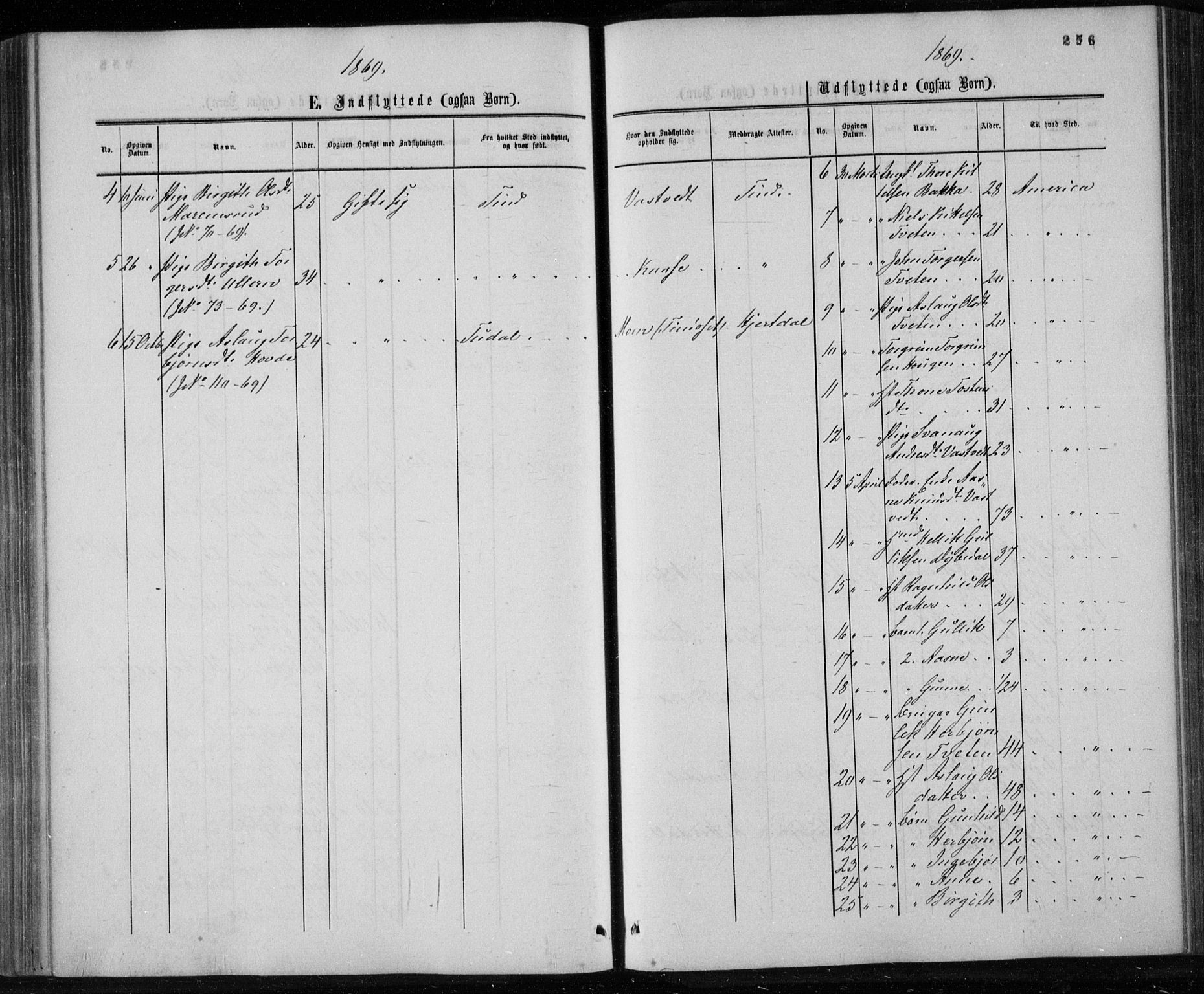 Gransherad kirkebøker, AV/SAKO-A-267/F/Fa/L0003: Parish register (official) no. I 3, 1859-1870, p. 256