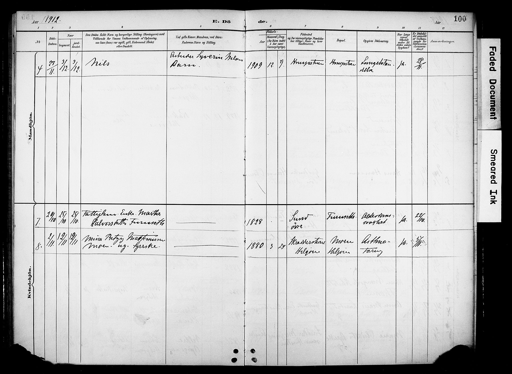 Nes prestekontor, Hedmark, AV/SAH-PREST-020/K/Ka/L0012: Parish register (official) no. 12, 1906-1920, p. 100