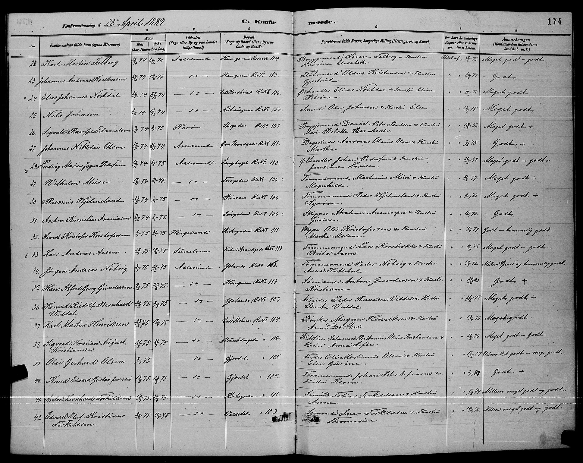 Ministerialprotokoller, klokkerbøker og fødselsregistre - Møre og Romsdal, AV/SAT-A-1454/529/L0467: Parish register (copy) no. 529C04, 1889-1897, p. 174