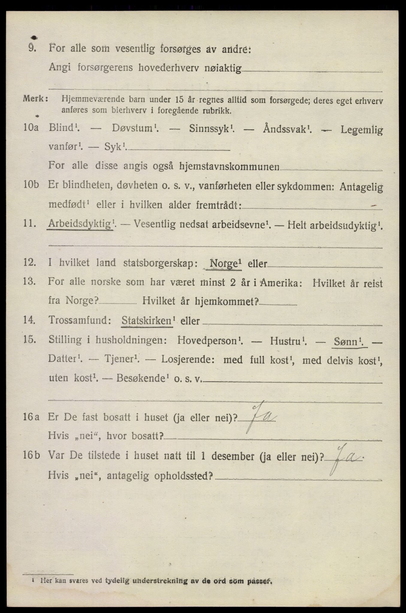 SAKO, 1920 census for Våle, 1920, p. 1107