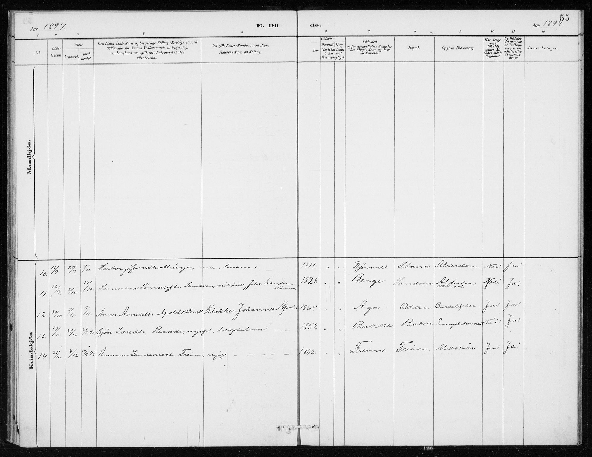 Odda Sokneprestembete, SAB/A-77201/H/Haa: Parish register (official) no. D 1, 1887-1914, p. 55