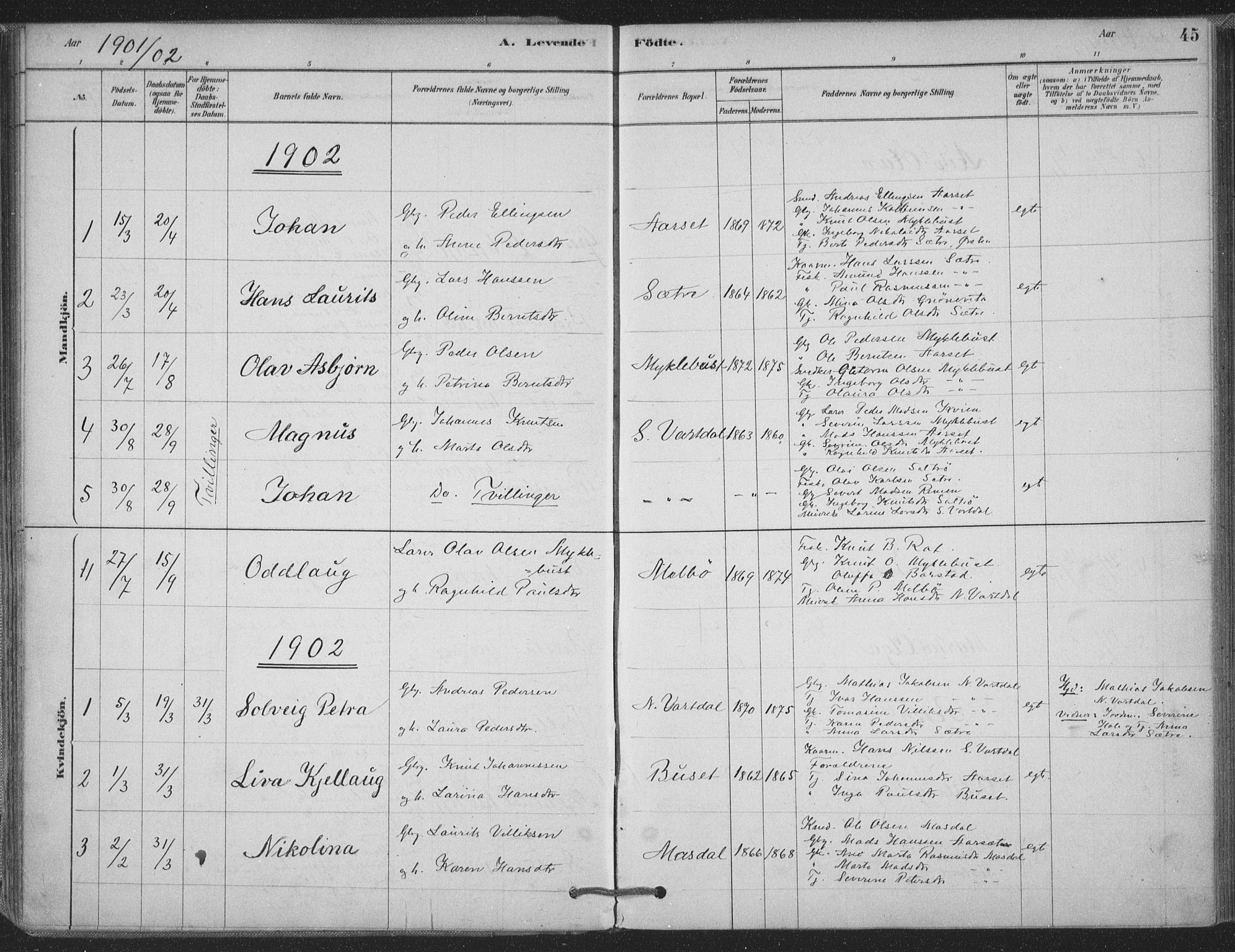 Ministerialprotokoller, klokkerbøker og fødselsregistre - Møre og Romsdal, SAT/A-1454/514/L0199: Parish register (official) no. 514A01, 1878-1912, p. 45