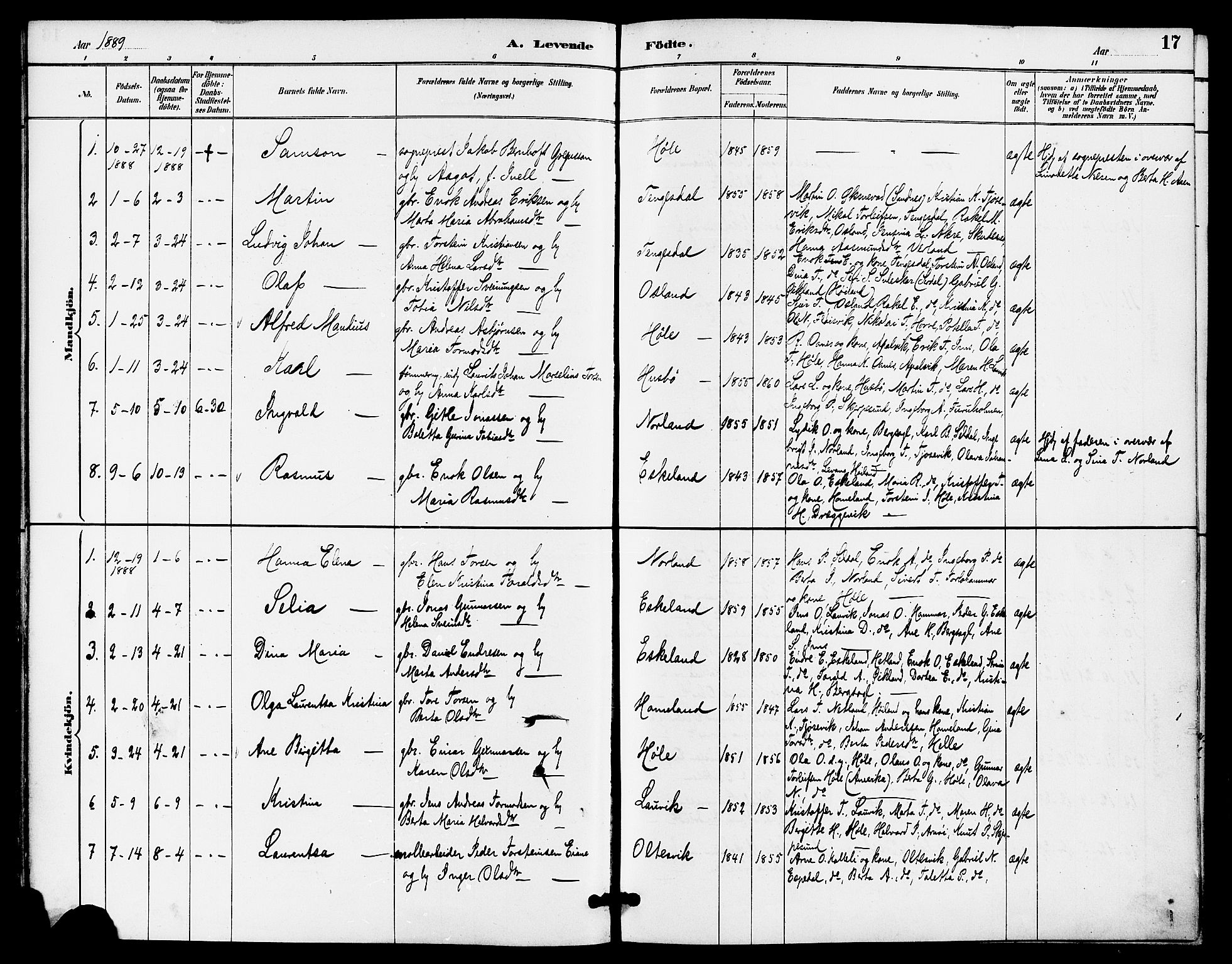 Høgsfjord sokneprestkontor, AV/SAST-A-101624/H/Ha/Haa/L0005: Parish register (official) no. A 5, 1885-1897, p. 17