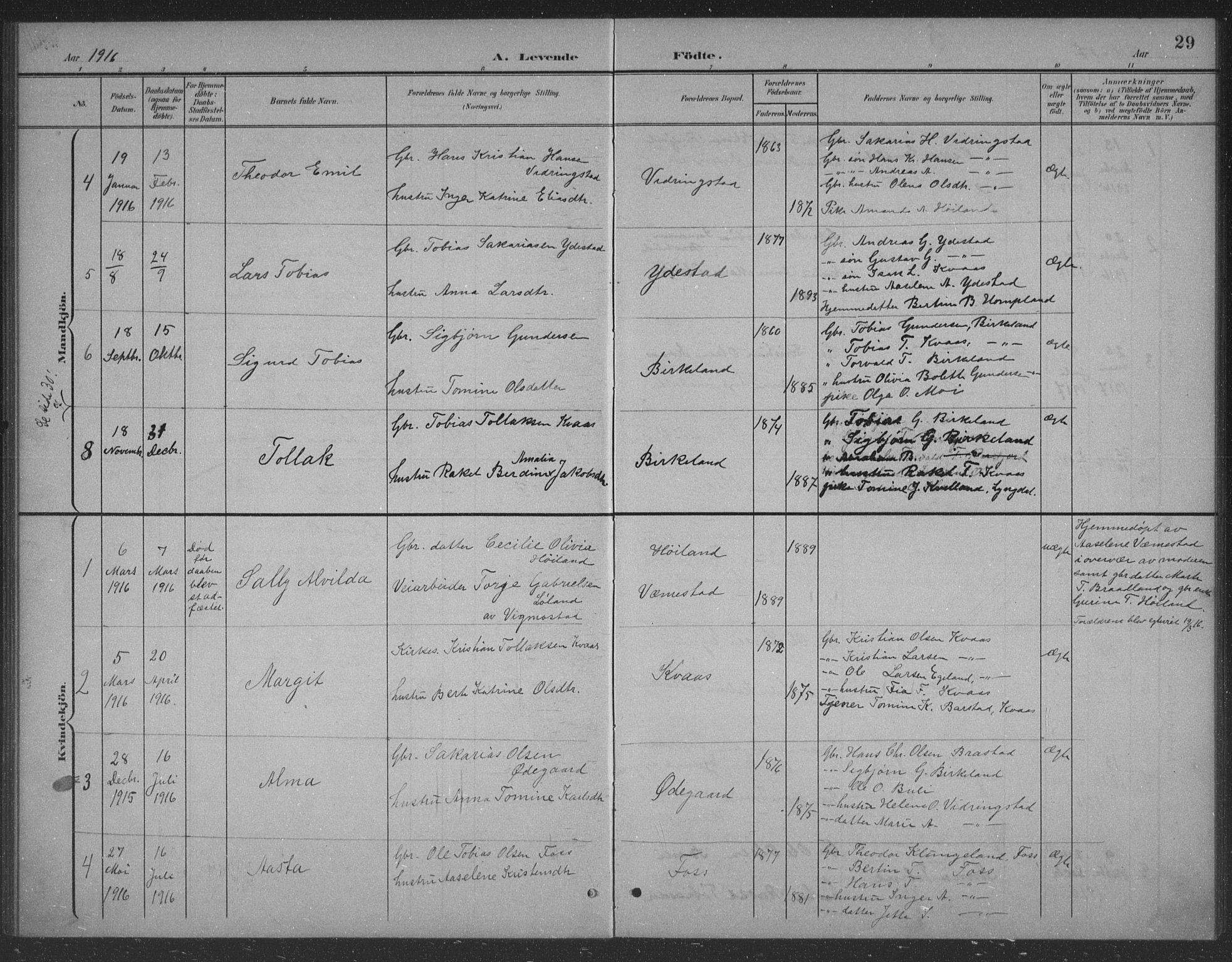 Lyngdal sokneprestkontor, SAK/1111-0029/F/Fb/Fbb/L0002: Parish register (copy) no. B 2, 1901-1934, p. 29