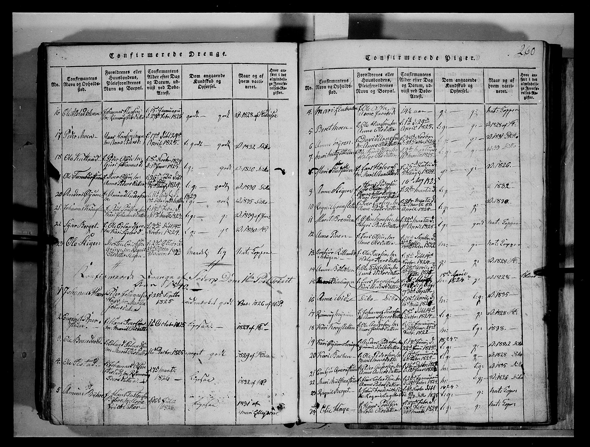 Fron prestekontor, SAH/PREST-078/H/Ha/Hab/L0004: Parish register (copy) no. 4, 1816-1850, p. 260
