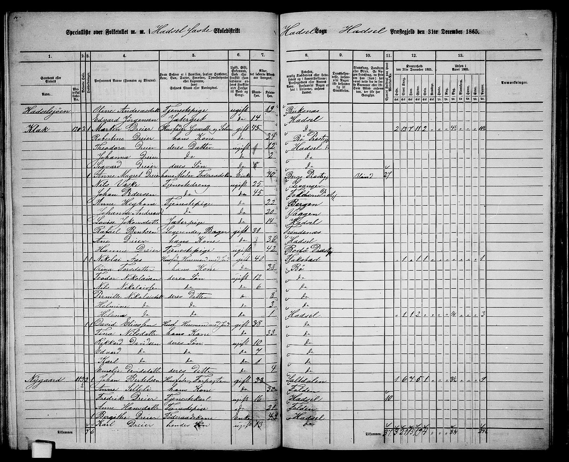 RA, 1865 census for Hadsel, 1865, p. 111