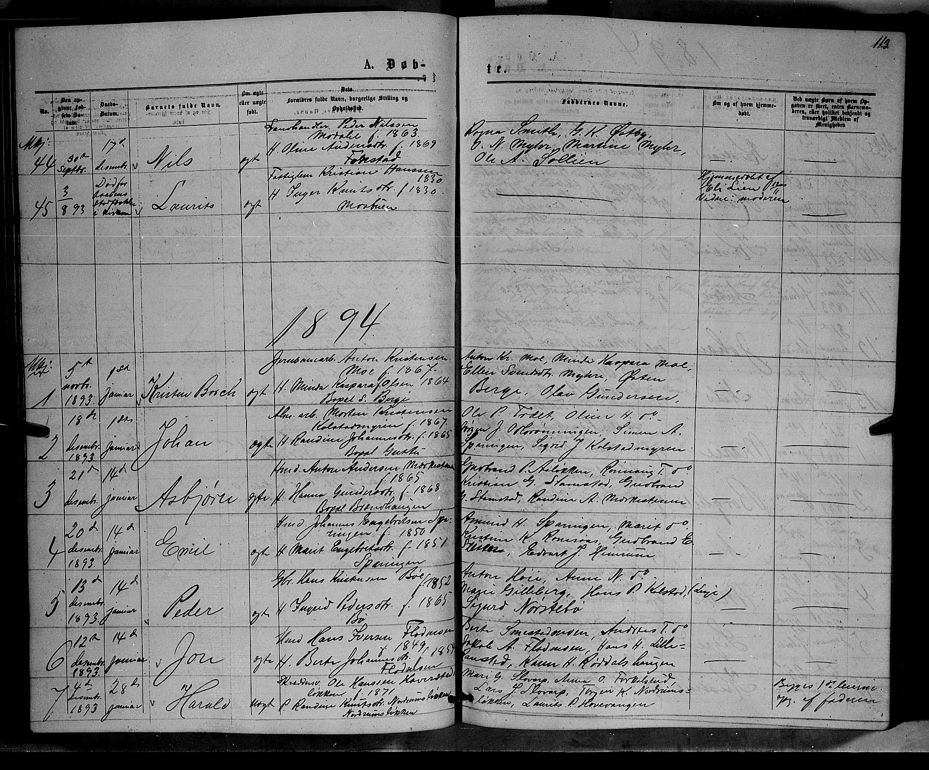 Ringebu prestekontor, SAH/PREST-082/H/Ha/Hab/L0006: Parish register (copy) no. 6, 1880-1898, p. 113