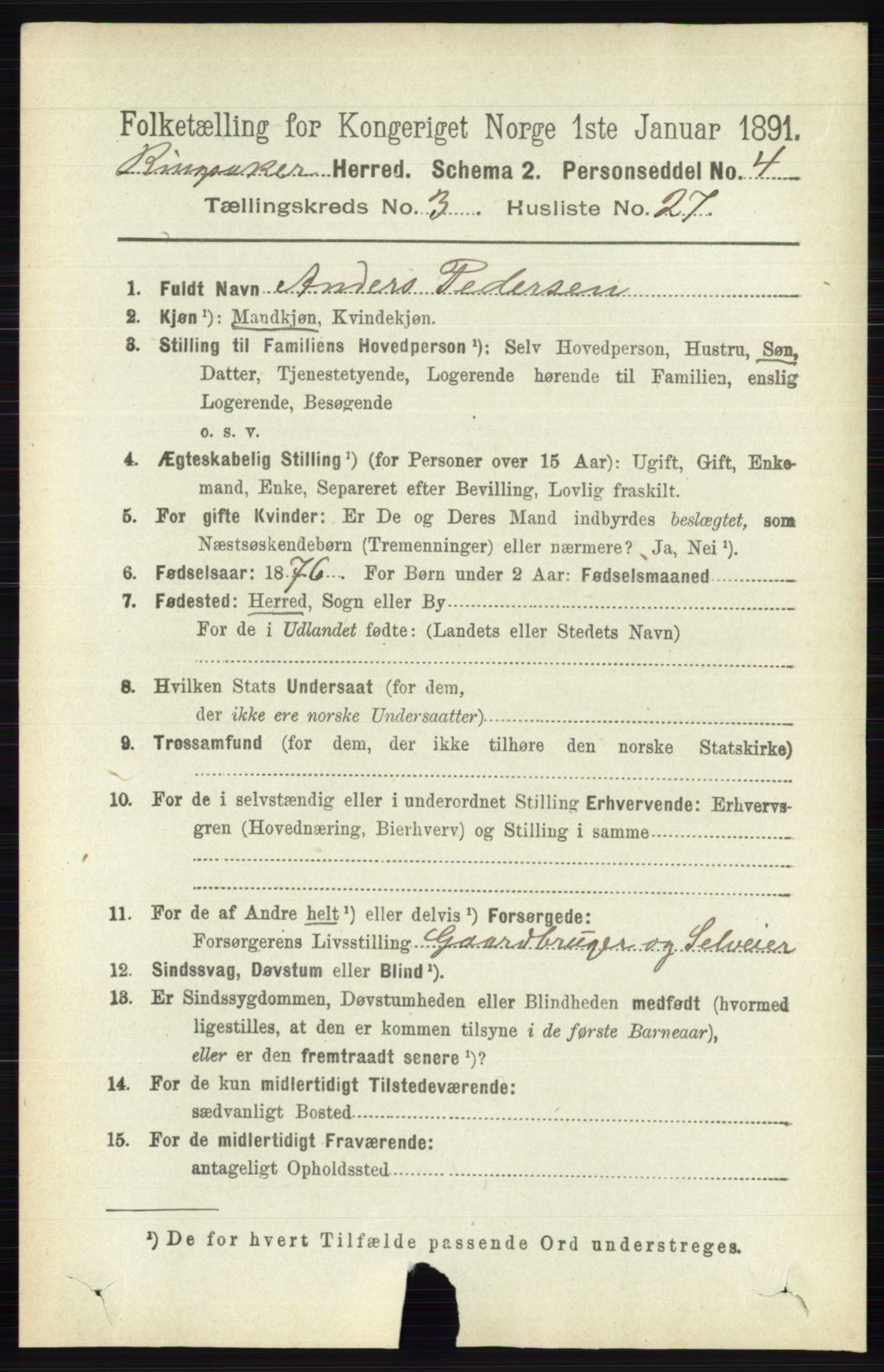 RA, 1891 census for 0412 Ringsaker, 1891, p. 1393