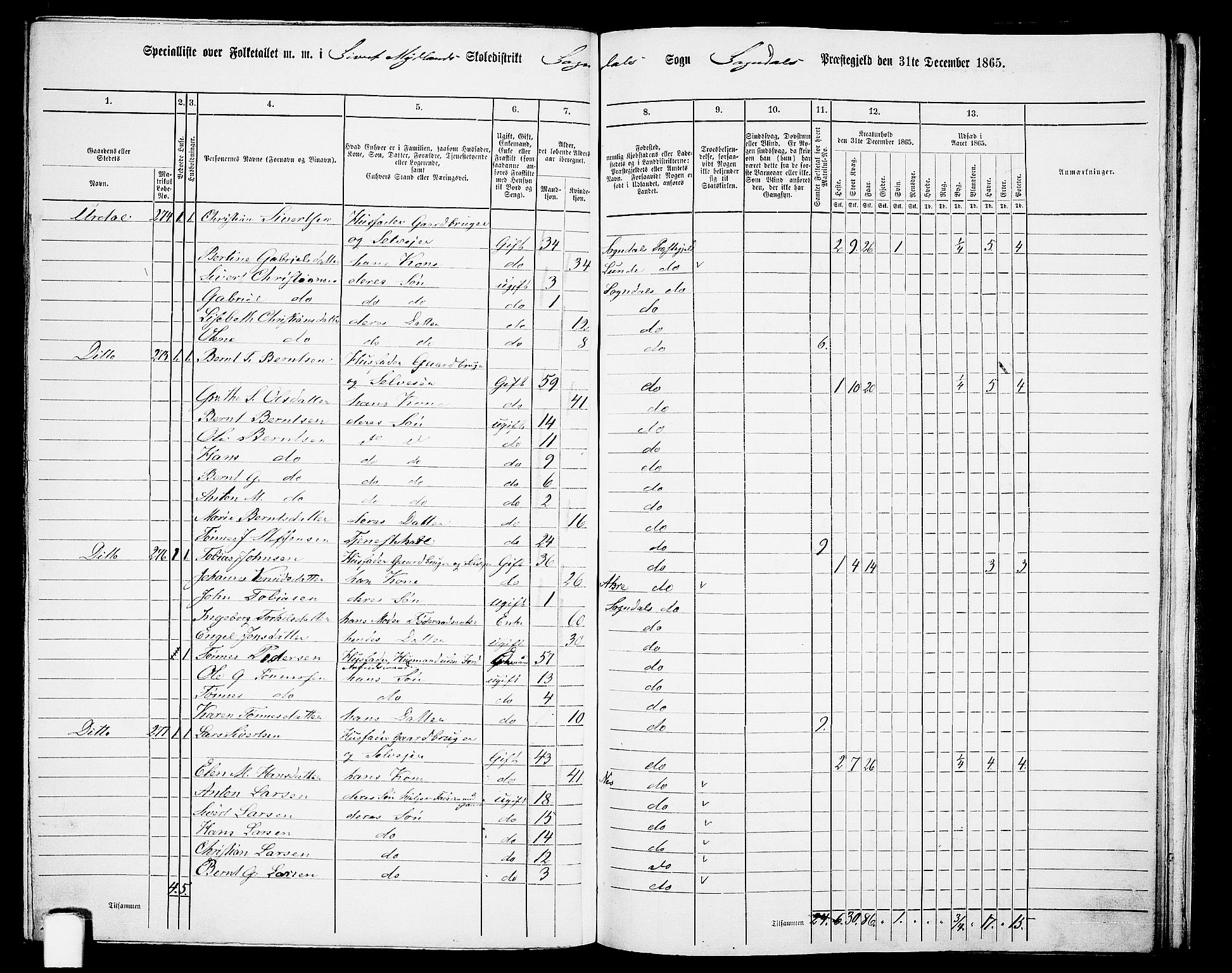 RA, 1865 census for Sokndal, 1865, p. 100