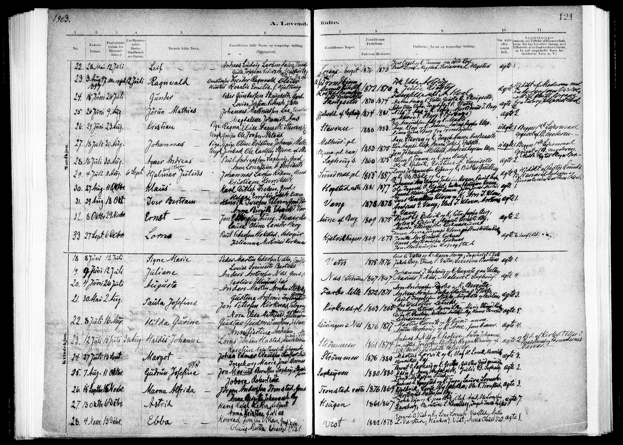 Ministerialprotokoller, klokkerbøker og fødselsregistre - Nord-Trøndelag, SAT/A-1458/730/L0285: Parish register (official) no. 730A10, 1879-1914, p. 121