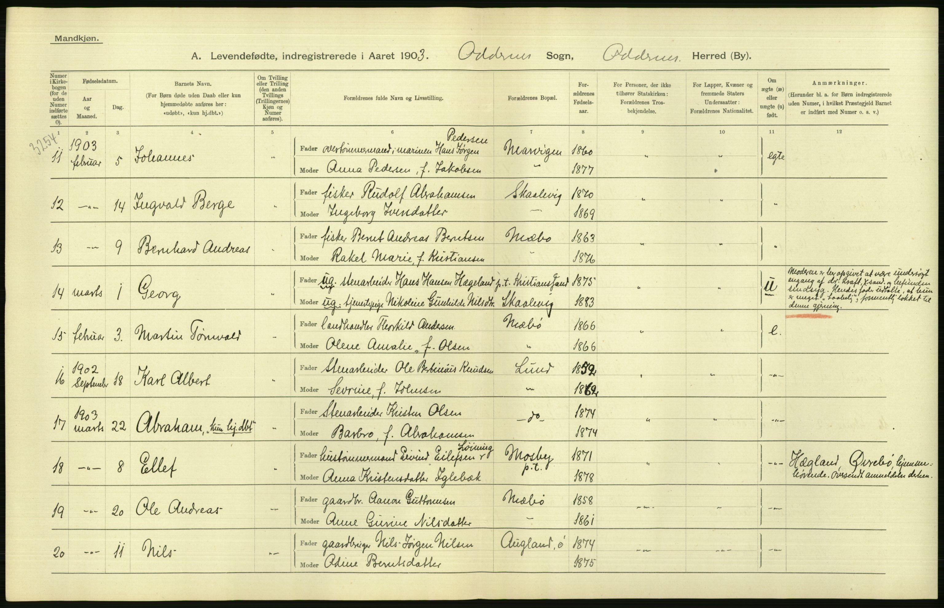 Statistisk sentralbyrå, Sosiodemografiske emner, Befolkning, AV/RA-S-2228/D/Df/Dfa/Dfaa/L0011: Lister og Mandal amt: Fødte, gifte, døde, 1903, p. 192