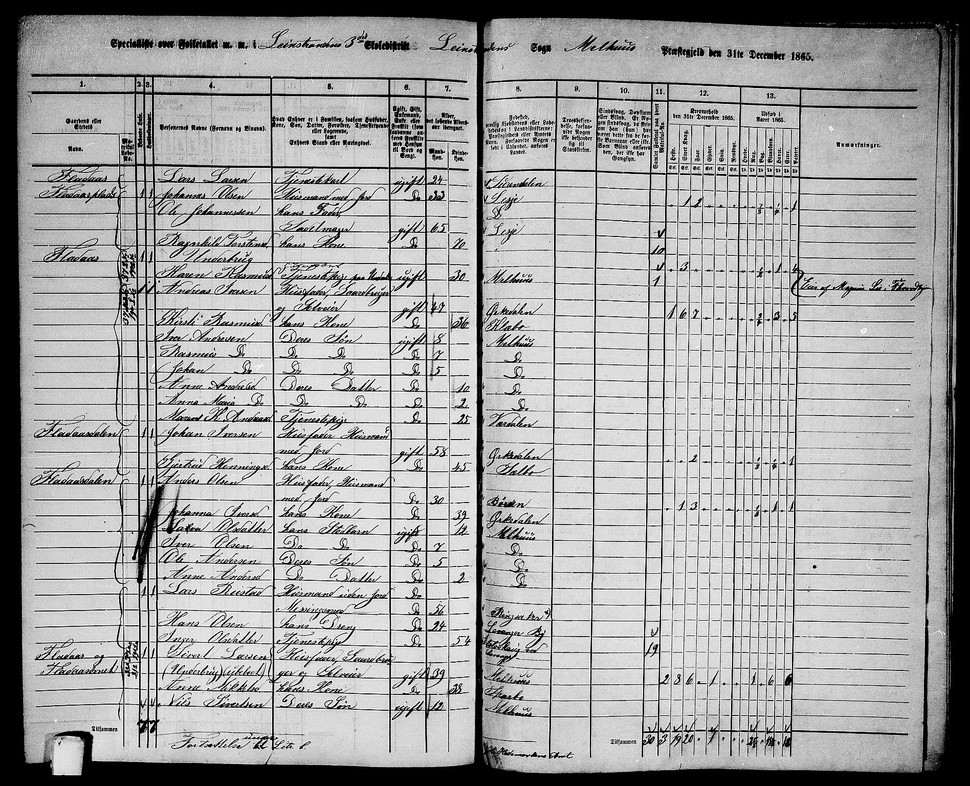 RA, 1865 census for Melhus, 1865, p. 243