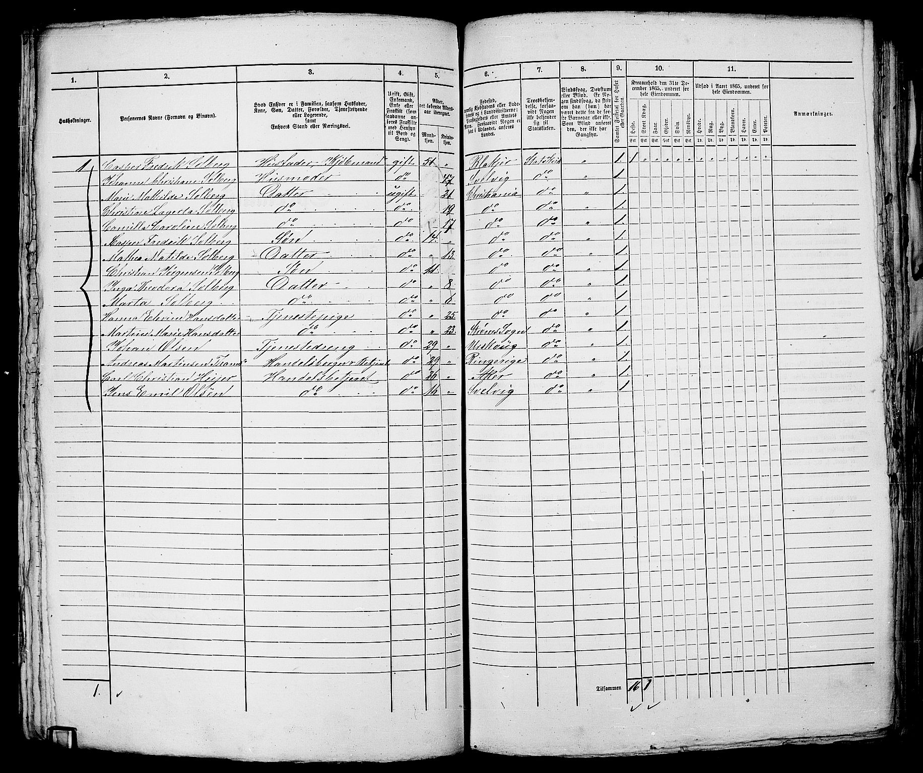 RA, 1865 census for Kristiania, 1865, p. 1389