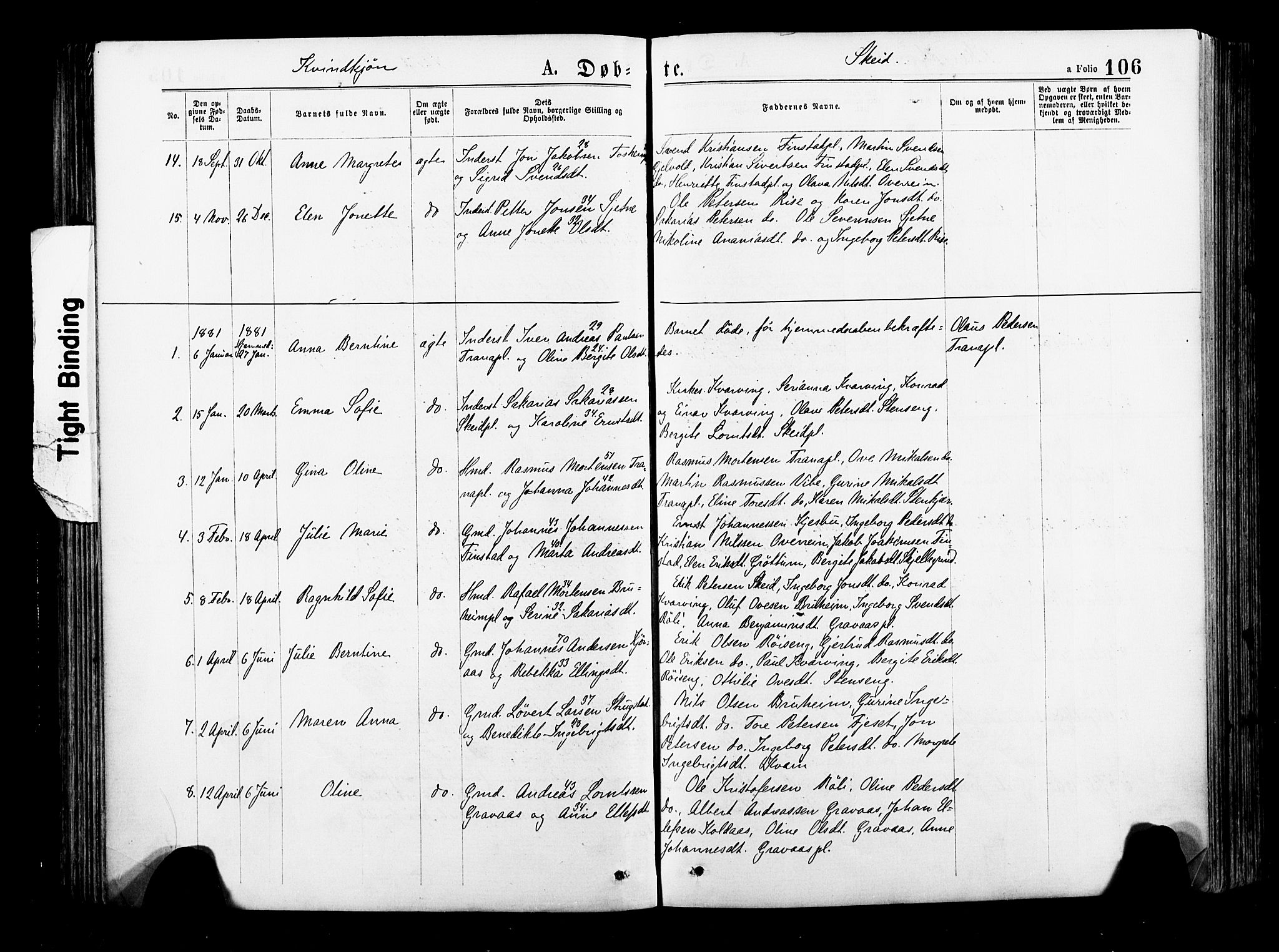 Ministerialprotokoller, klokkerbøker og fødselsregistre - Nord-Trøndelag, SAT/A-1458/735/L0348: Parish register (official) no. 735A09 /2, 1873-1883, p. 106