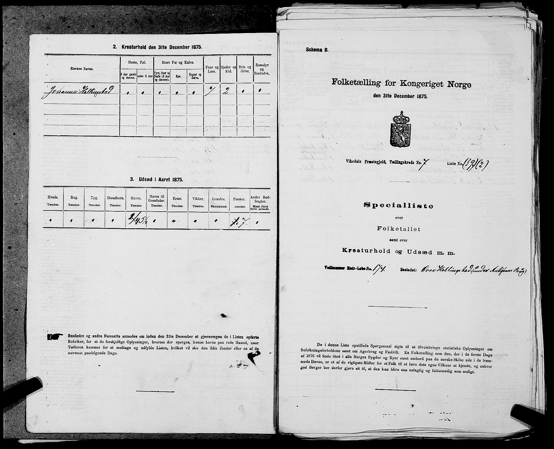 SAST, 1875 census for 1157P Vikedal, 1875, p. 770