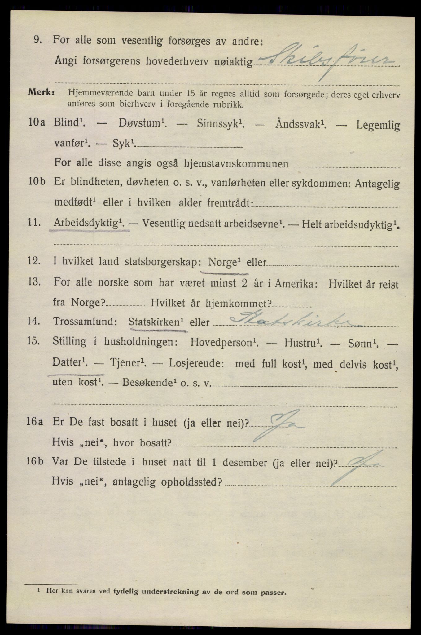 SAKO, 1920 census for Kragerø, 1920, p. 12986