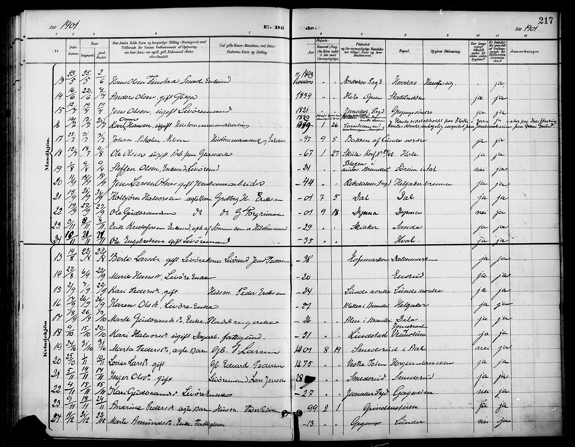 Gran prestekontor, SAH/PREST-112/H/Ha/Haa/L0019: Parish register (official) no. 19, 1898-1907, p. 217